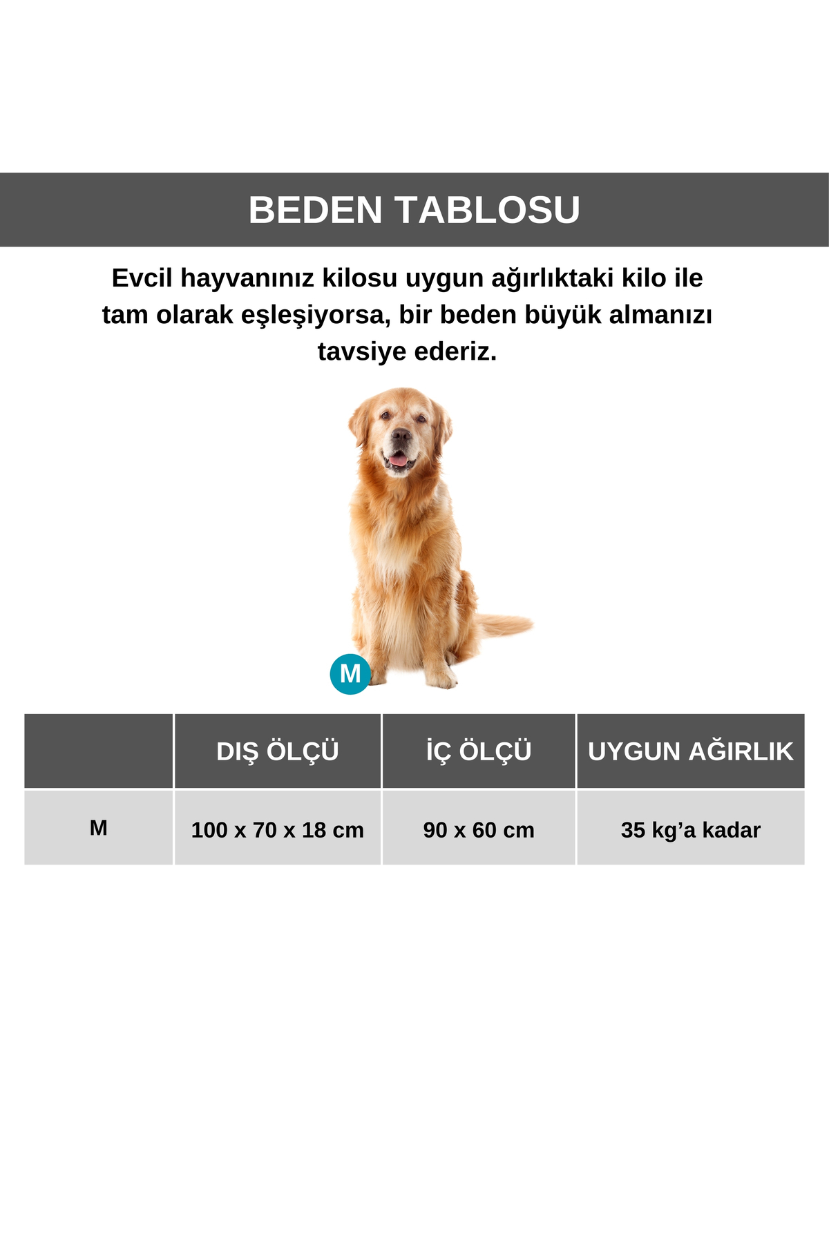 تخت گربه و سگ پت دریمز Pet Dreams مدل Carlin، پارچه پولیشی، کف ضدلغزش، ۱۱۰×۷۰ سانتی‌متر بژ