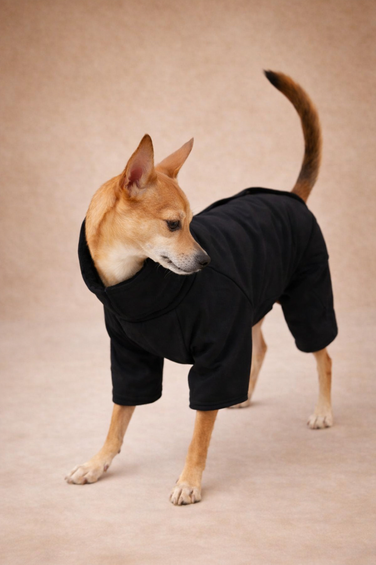 بارانی سرهمی آستردار سگ آلفادگ دیزاین Alphadog Design، مشکی