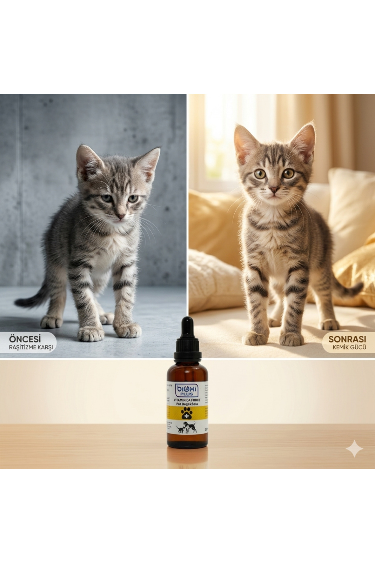 مکمل غذایی ویتامین D3 Force بیوکسی Bioxi برای گربه و سگ