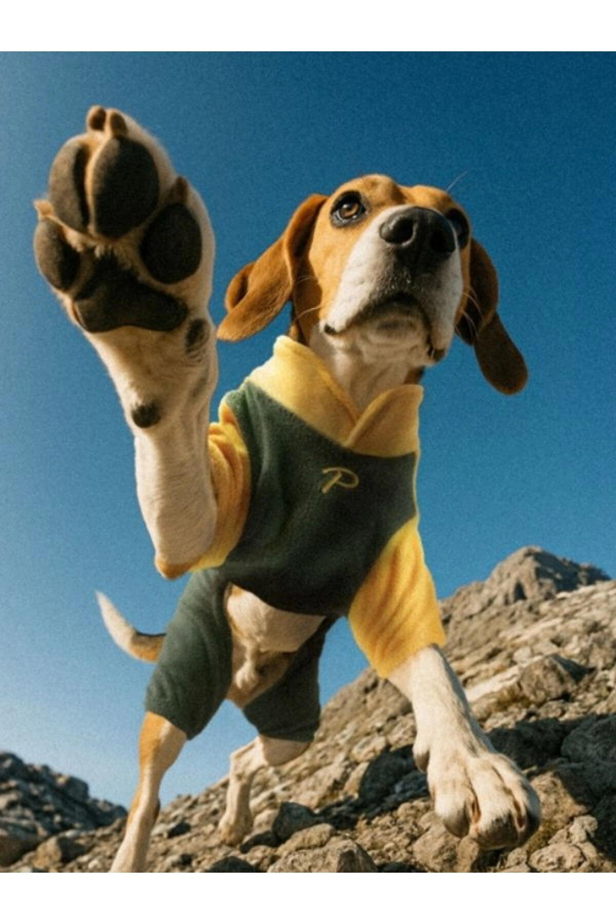 لباس سگ پوپیا Puppia مدل Alpine Fleece Suit، کد PAZD-OJ2256، زرد