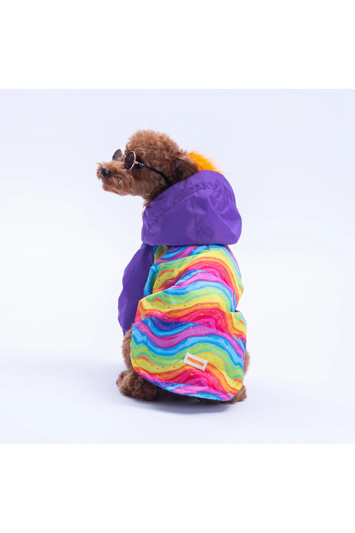 بارانی پلار‌دار سگ و گربه پاوستار Pawstar Rio Rainbow چندرنگ 4Kg
