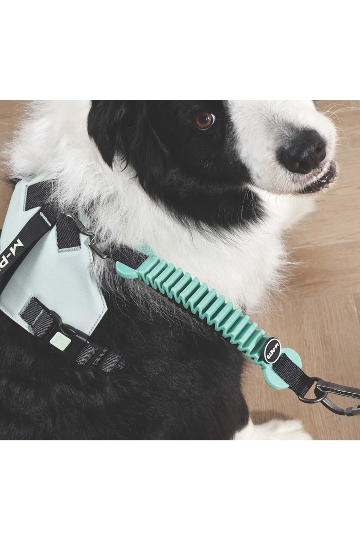 بند قلاده سگ ضربه‌گیر ام‌پتس M-PETS Pull Power، سبز
