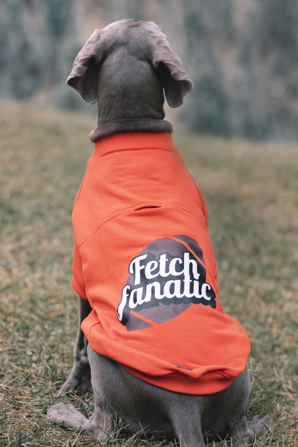 سویشرت سگ قرمز Fetch Fanatic از آسکی‌اندارد Asky&Erd، مجموعه «I am» Sweatshirts Collection