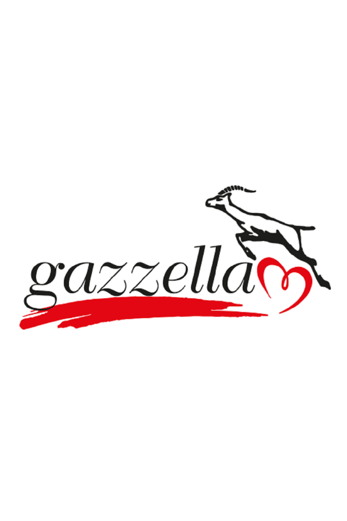 اتو بخار بخارساز SUPER MINI 2030 اورجینال Gazzella