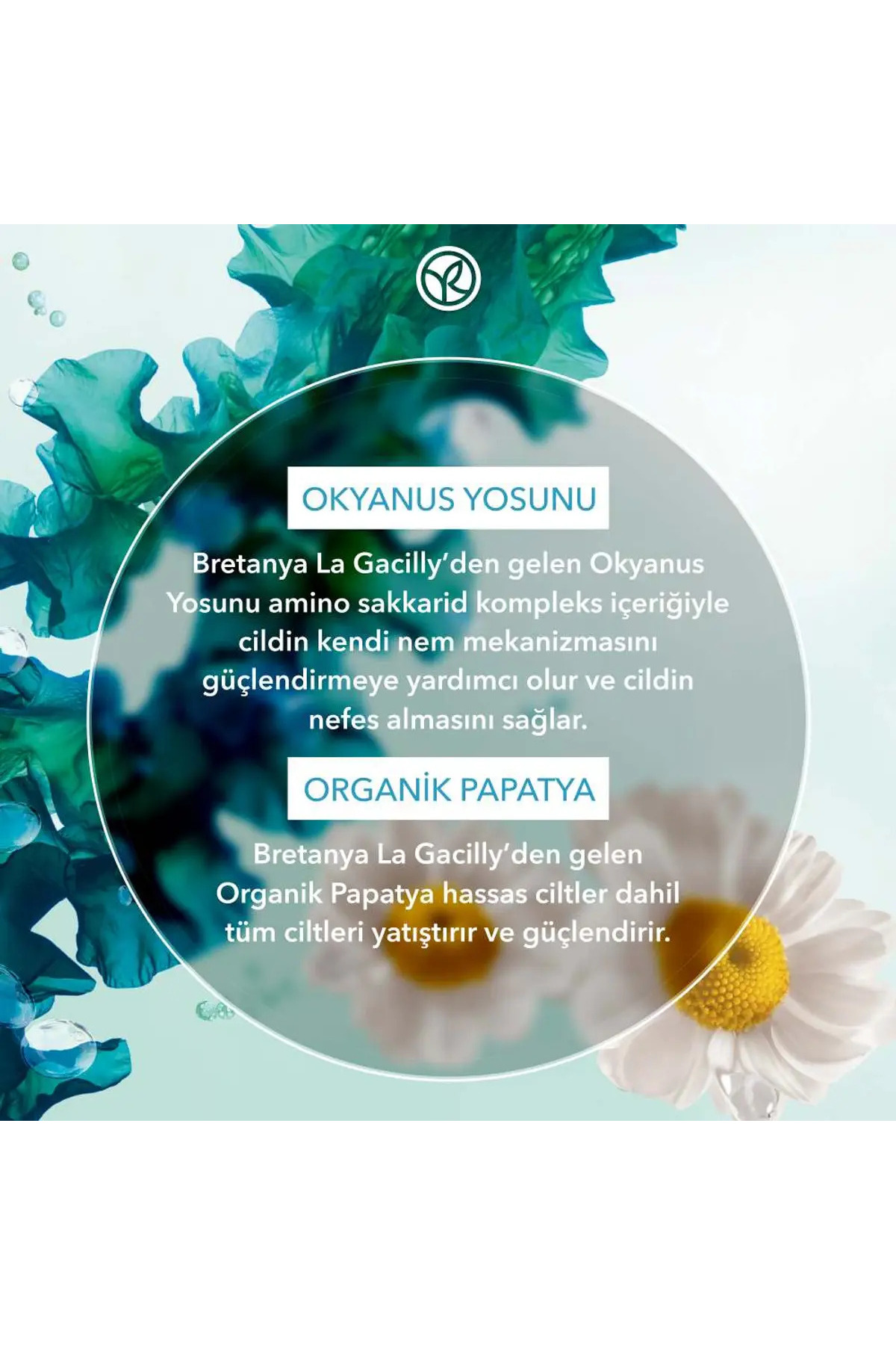 فوم شستشوی صورت پربیوتیک پوست عادی خشک جلبک خالص 150 میلی لیتر ایوروشه Yves Rocher