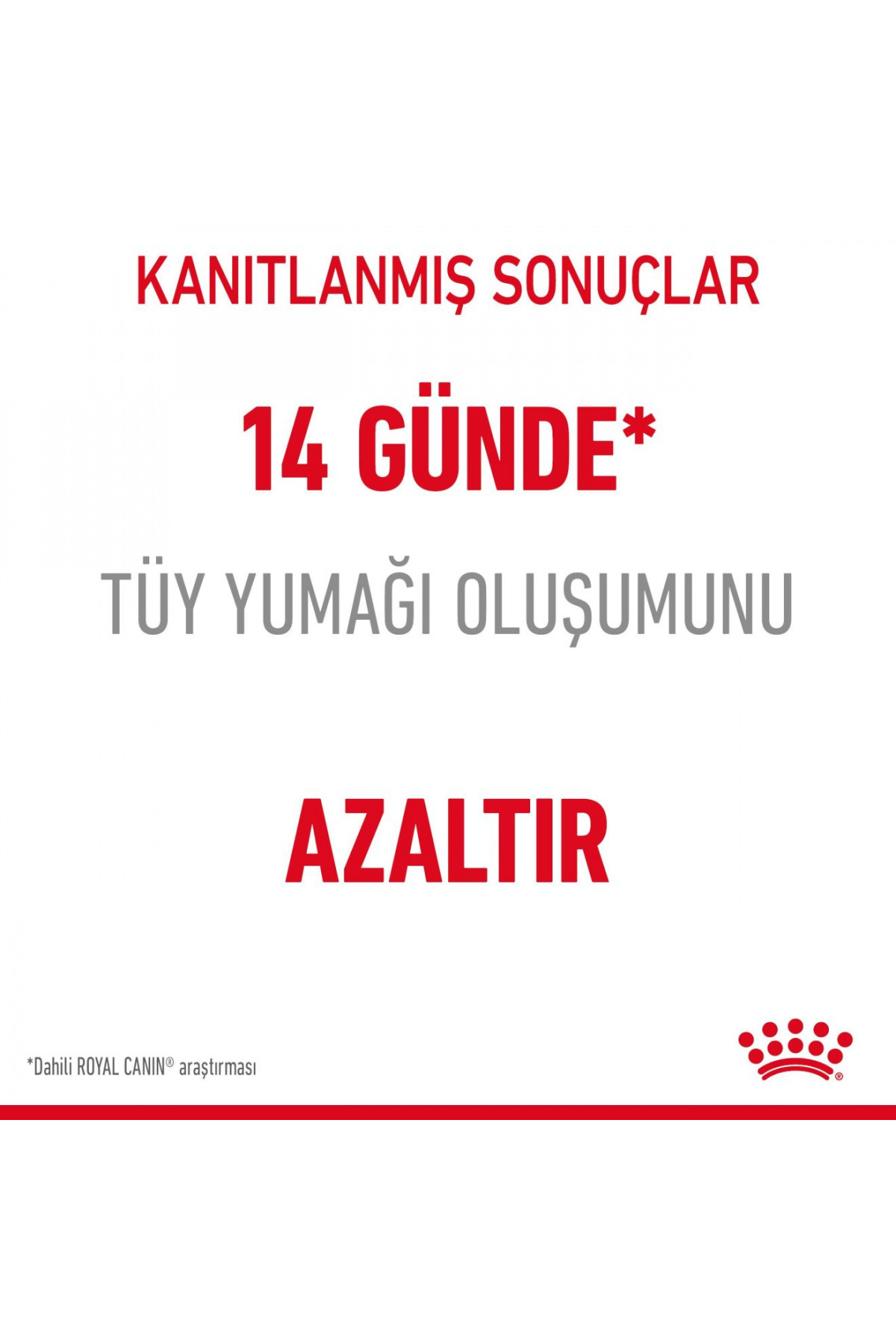 غذای خشک گربه بالغ برای کنترل گلوله‌های مو، رویال کنین Royal Canin، ۲ کیلوگرم