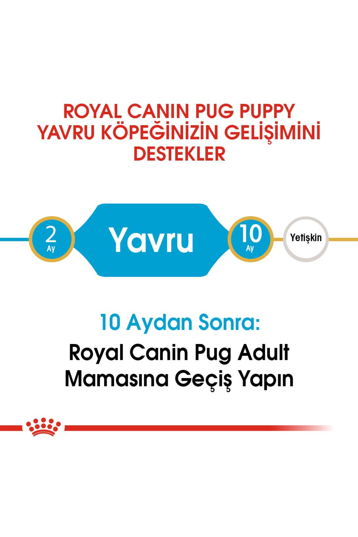 غذای خشک توله‌سگ پاگ رویال کنین Royal Canin، ۱٫۵ کیلوگرم 1.5 kg