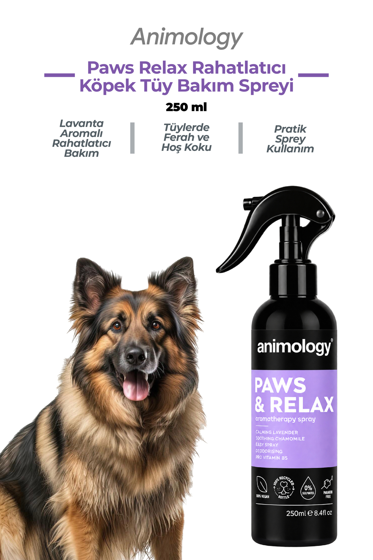 اسپری مراقبت از موی سگ انیمولوژی Animology Paws Relax با رایحه اسطوخودوس، ۲۵۰ میلی‌لیتر