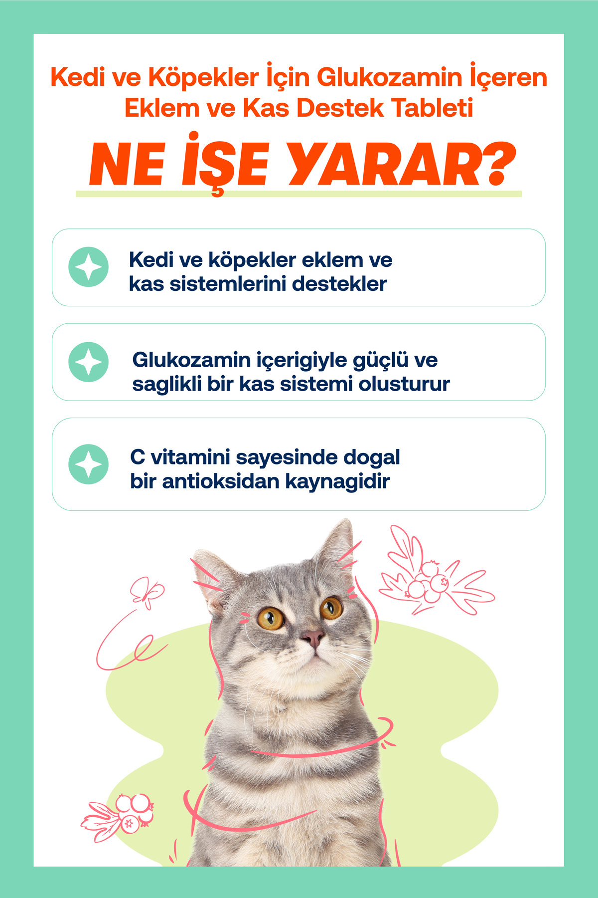 قرص مکمل سگ و گربه بیوفلین BioFeline، حاوی MSM، ویتامین C و گلوکزامین، ۷۵ عدد