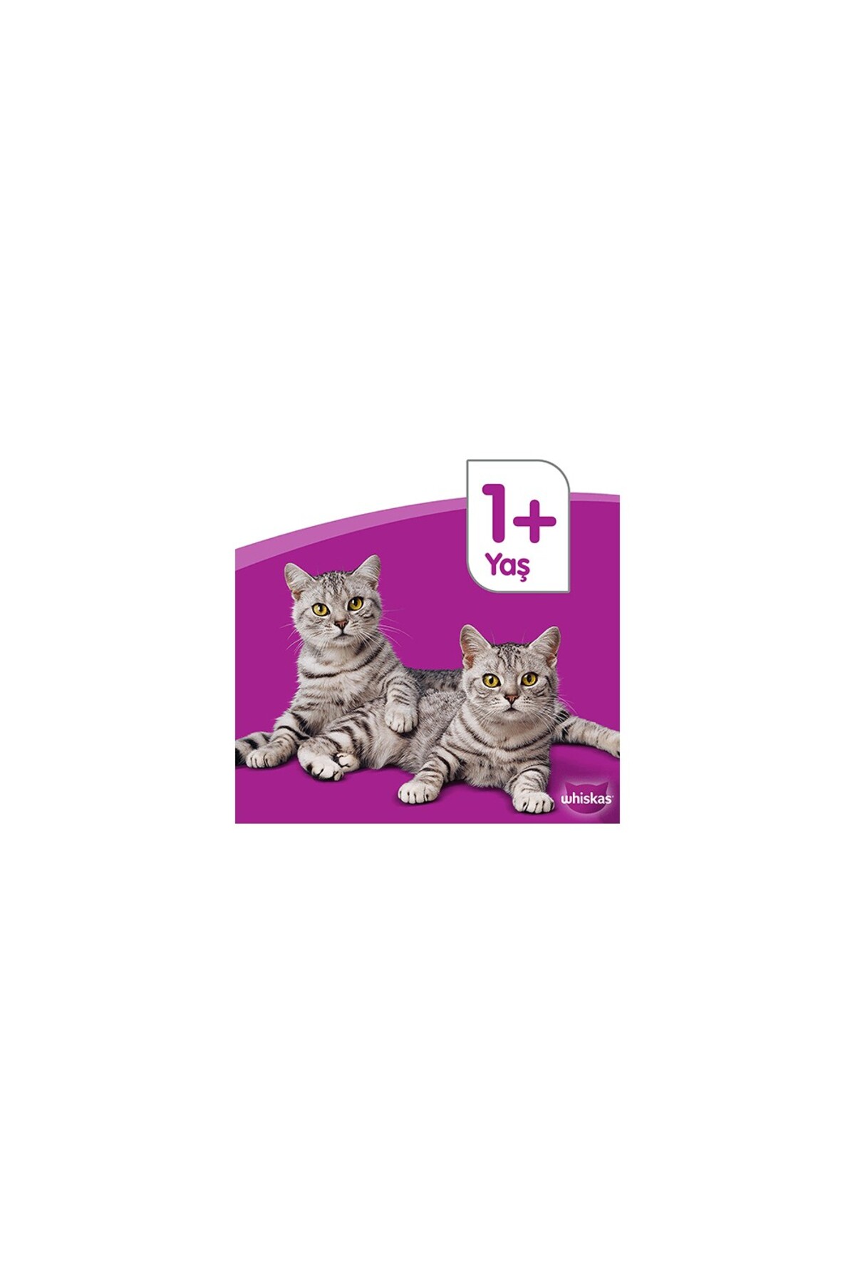 غذای خشک گربه ویسکاس Whiskas با طعم مرغ و سبزیجات، ۱۴ کیلوگرم، برای ۱ سال به بالا
