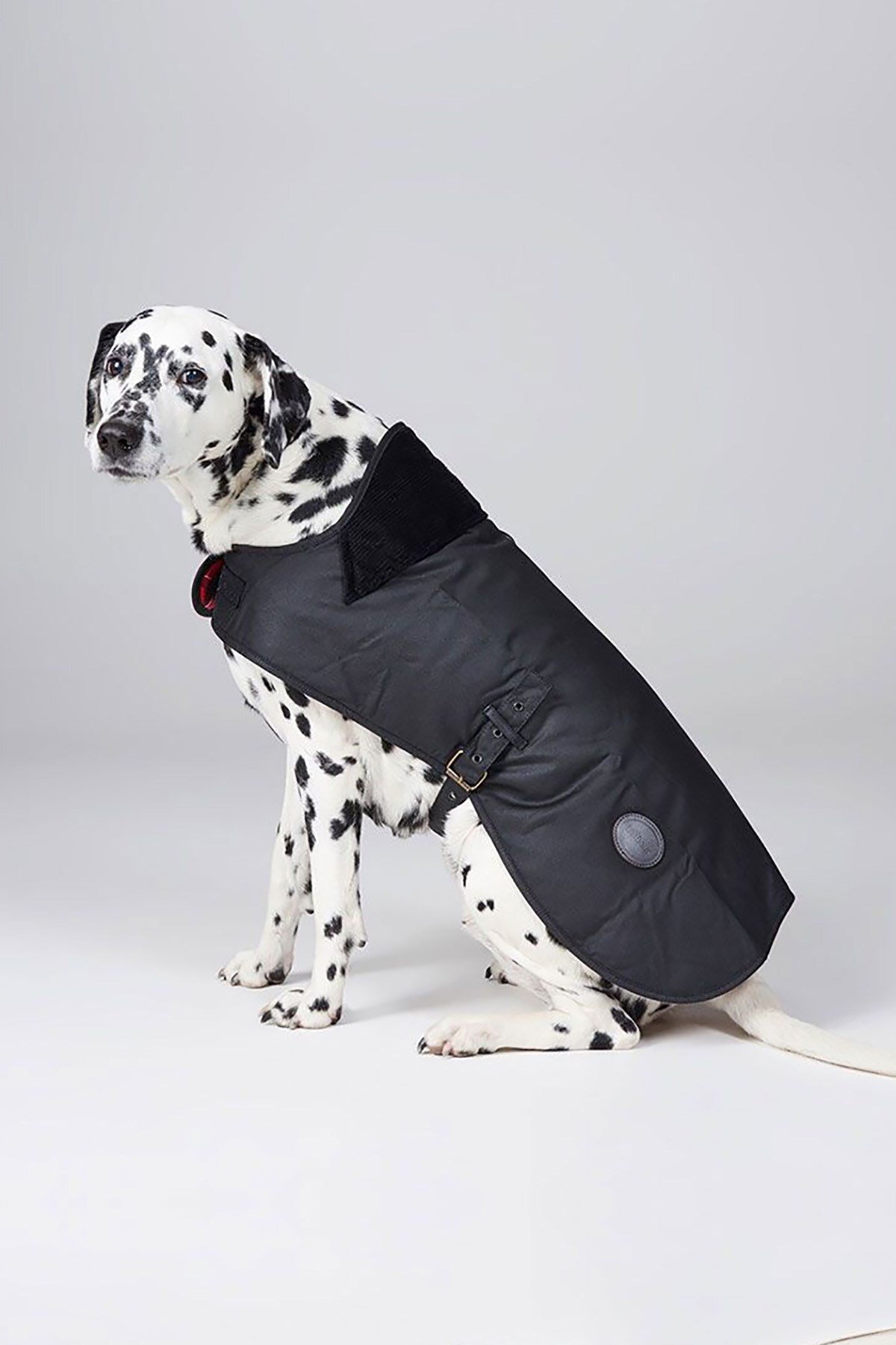 لباس مومی سگ باربور Barbour مدل DCO0003-106، مشکی BK71