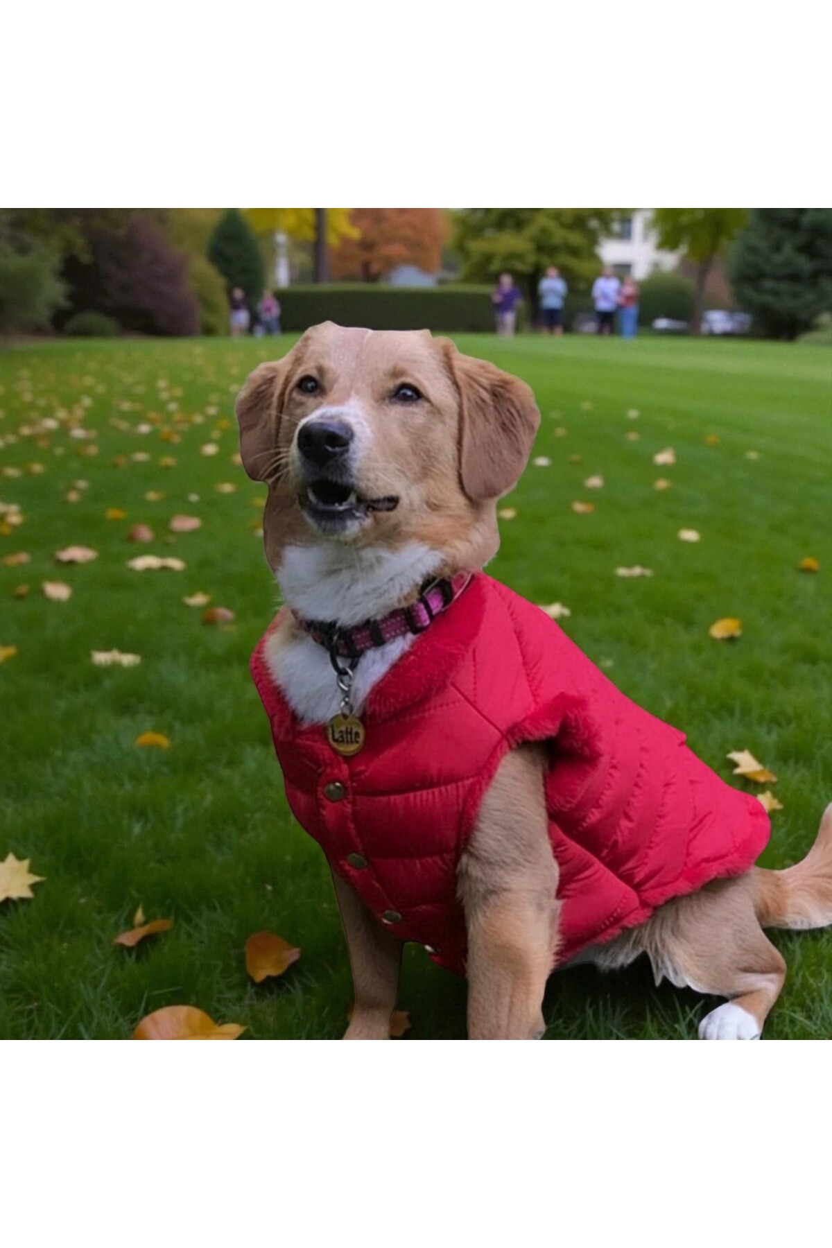 کاپشن پف‌دار سگ لولو د اربن پاپ Lulu The Urban Pup مدل LTUP5000، قرمز