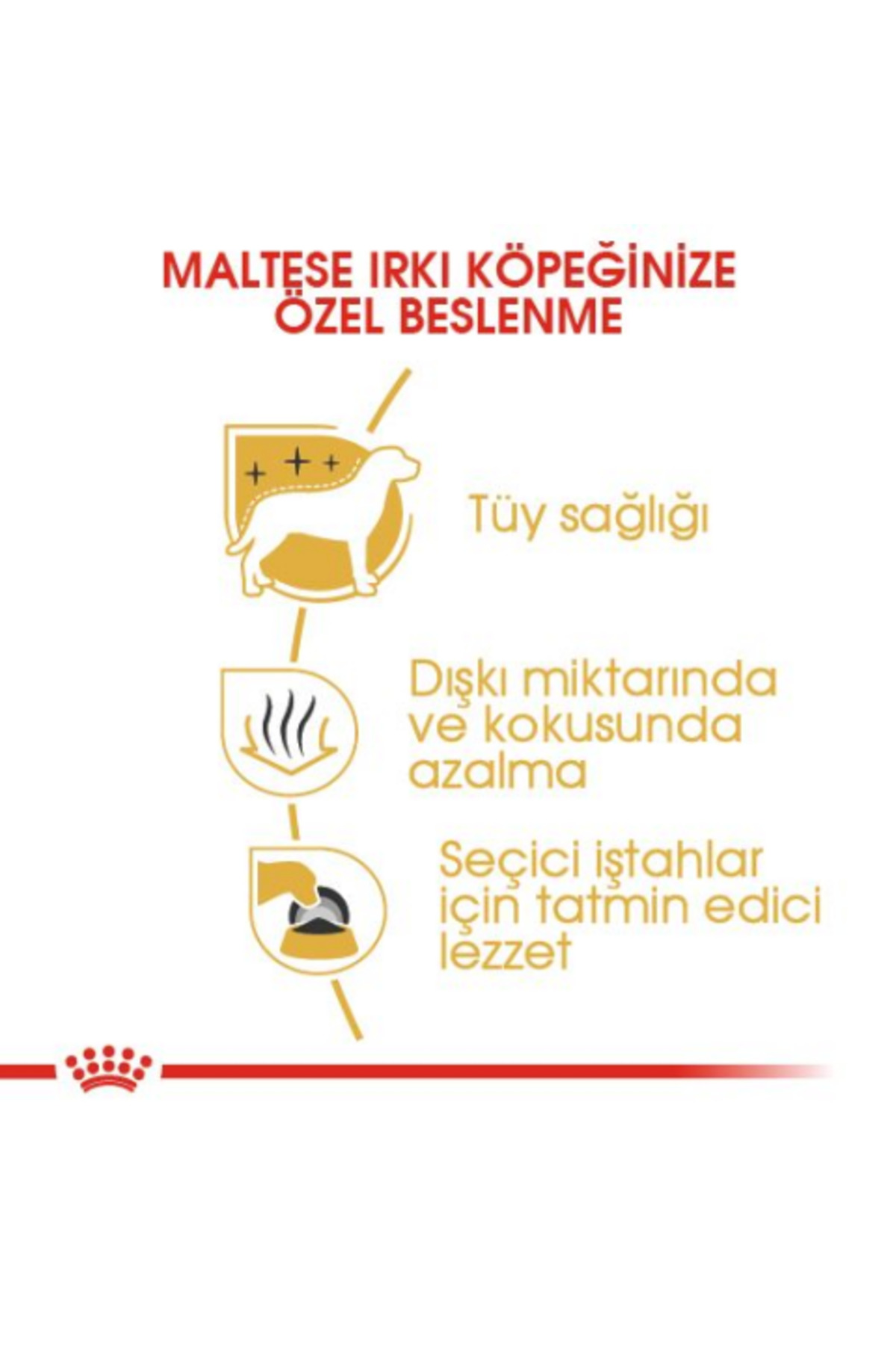 غذای خشک سگ مالتیز بالغ رویال کنین Royal Canin، ۱٫۵ کیلوگرم 1.5 kg