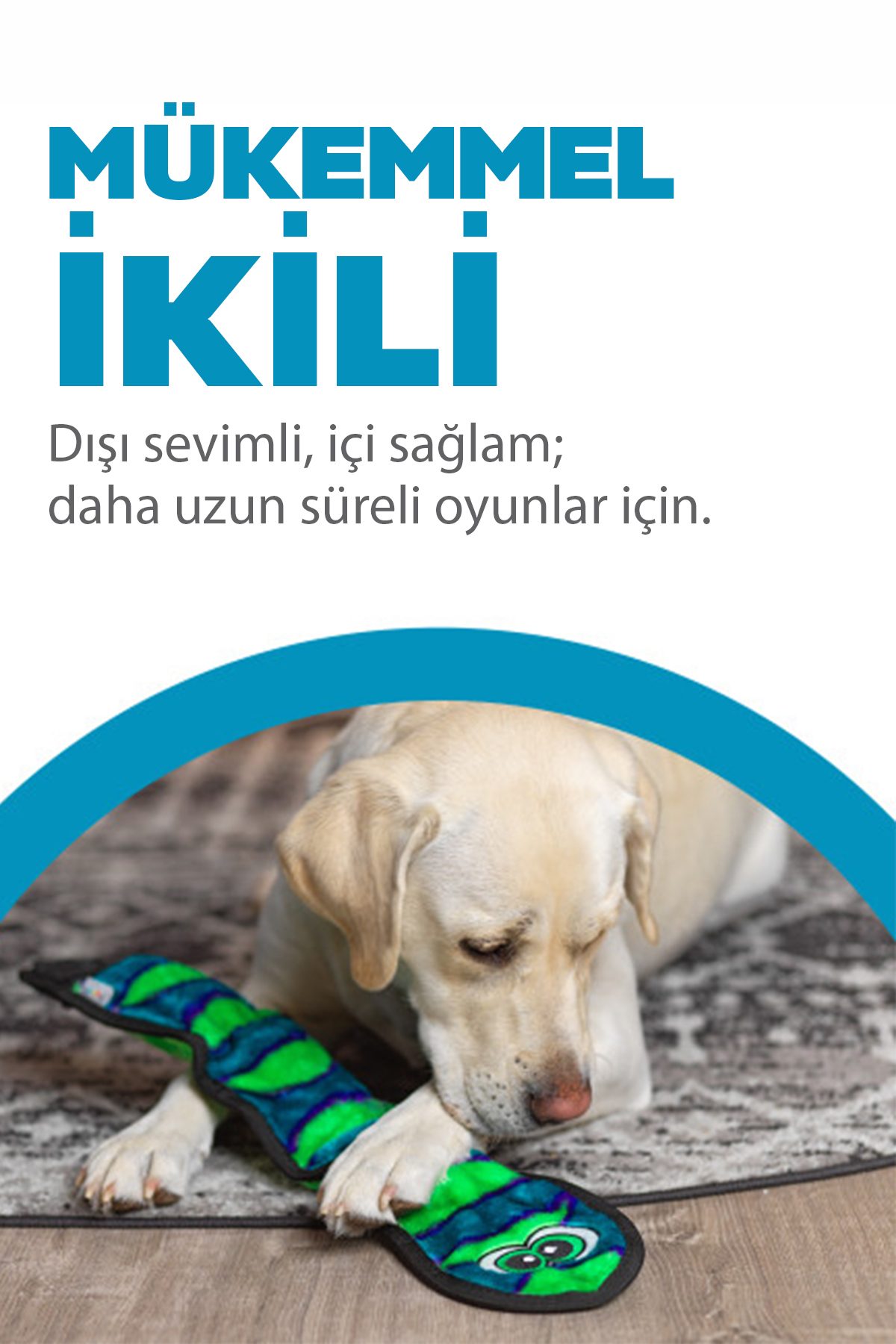 اسباب‌بازی سگ طرح مار، سایز Large، Invincibles Durablez از اوت‌وارد هاوند Outward Hound چندرنگ