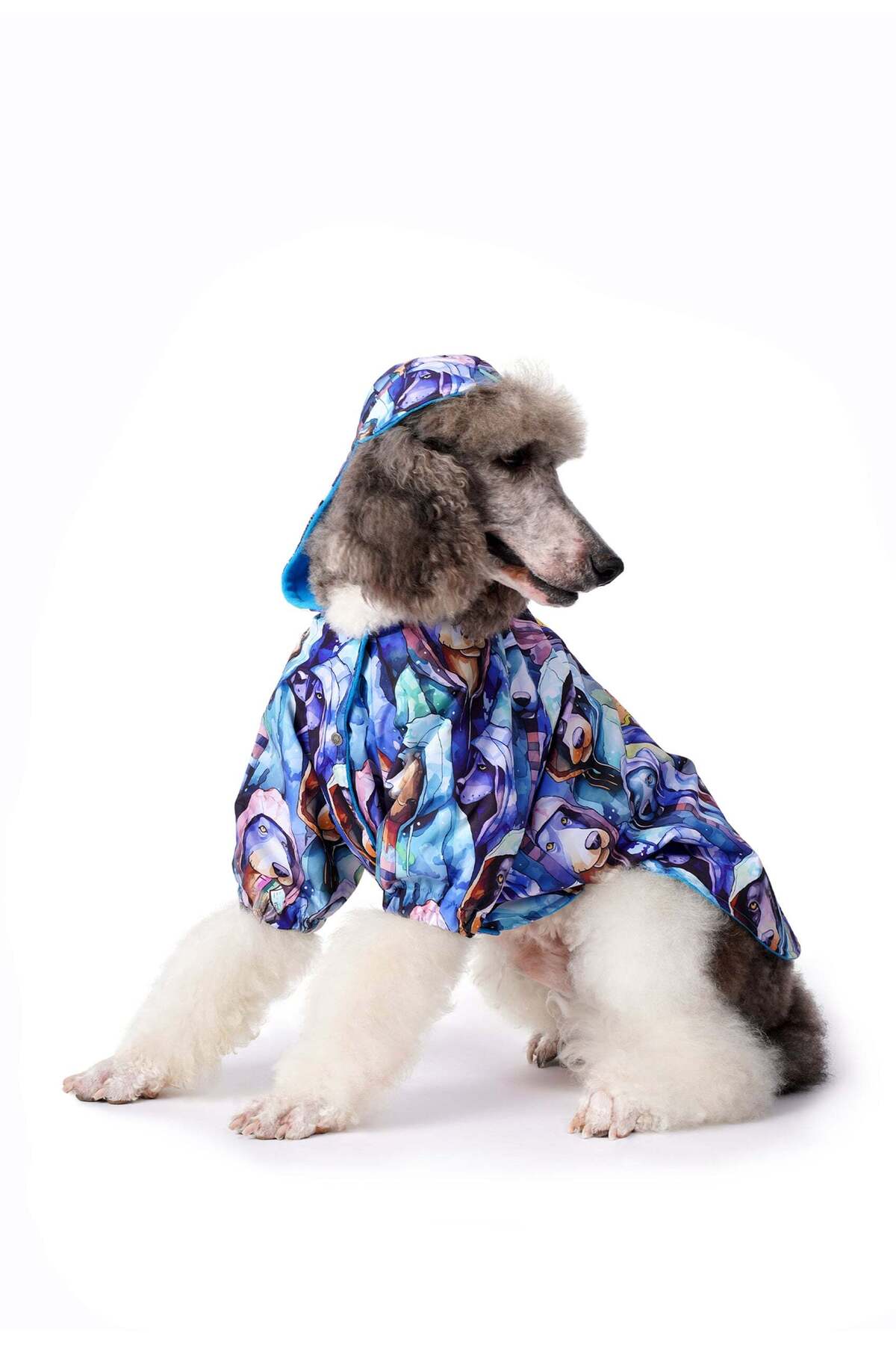 بارانی سگ نژاد بزرگ فورامور Fouramour، آستر پلار، سری Urban Dogs آبی