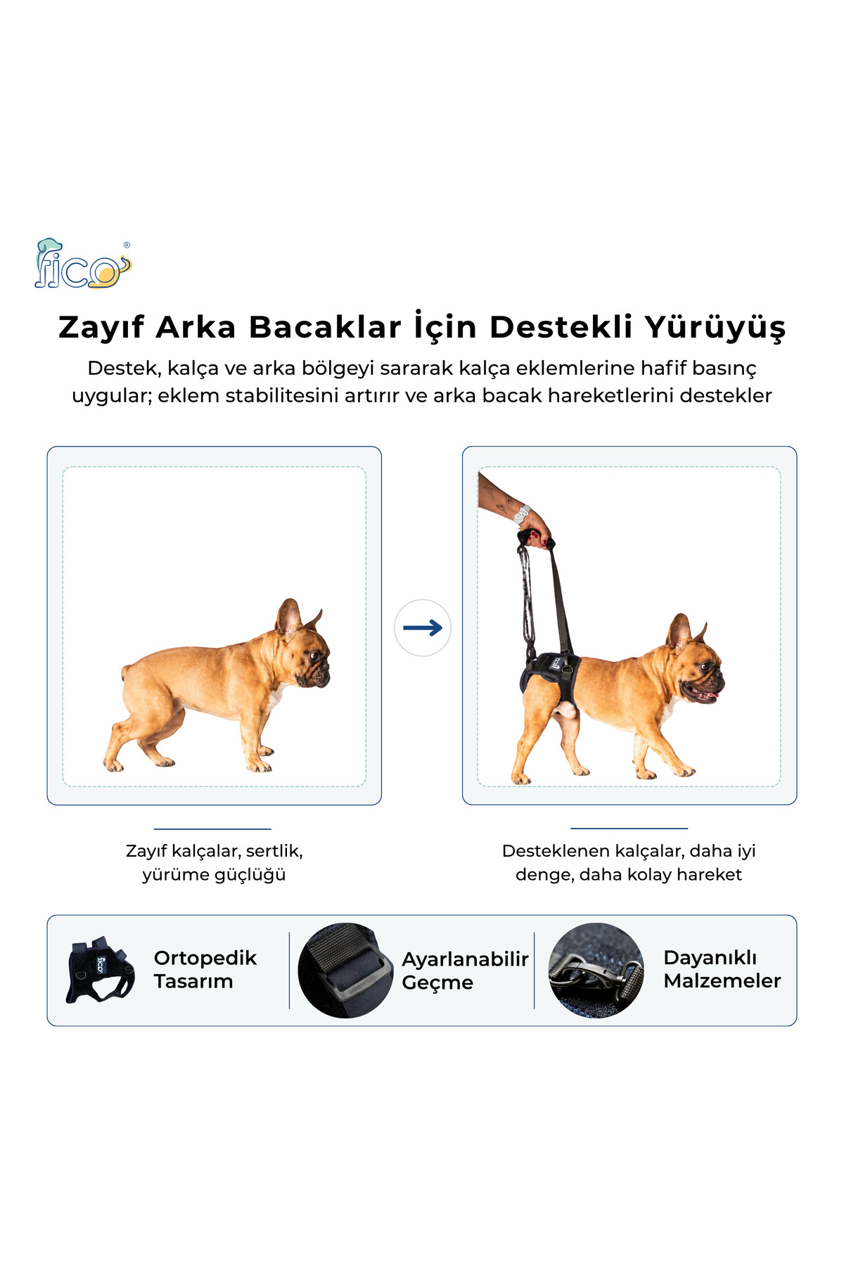 کمربند حمایتی لگن سگ ارتوپدی فیکو پتس Fico pets سرمه‌ای