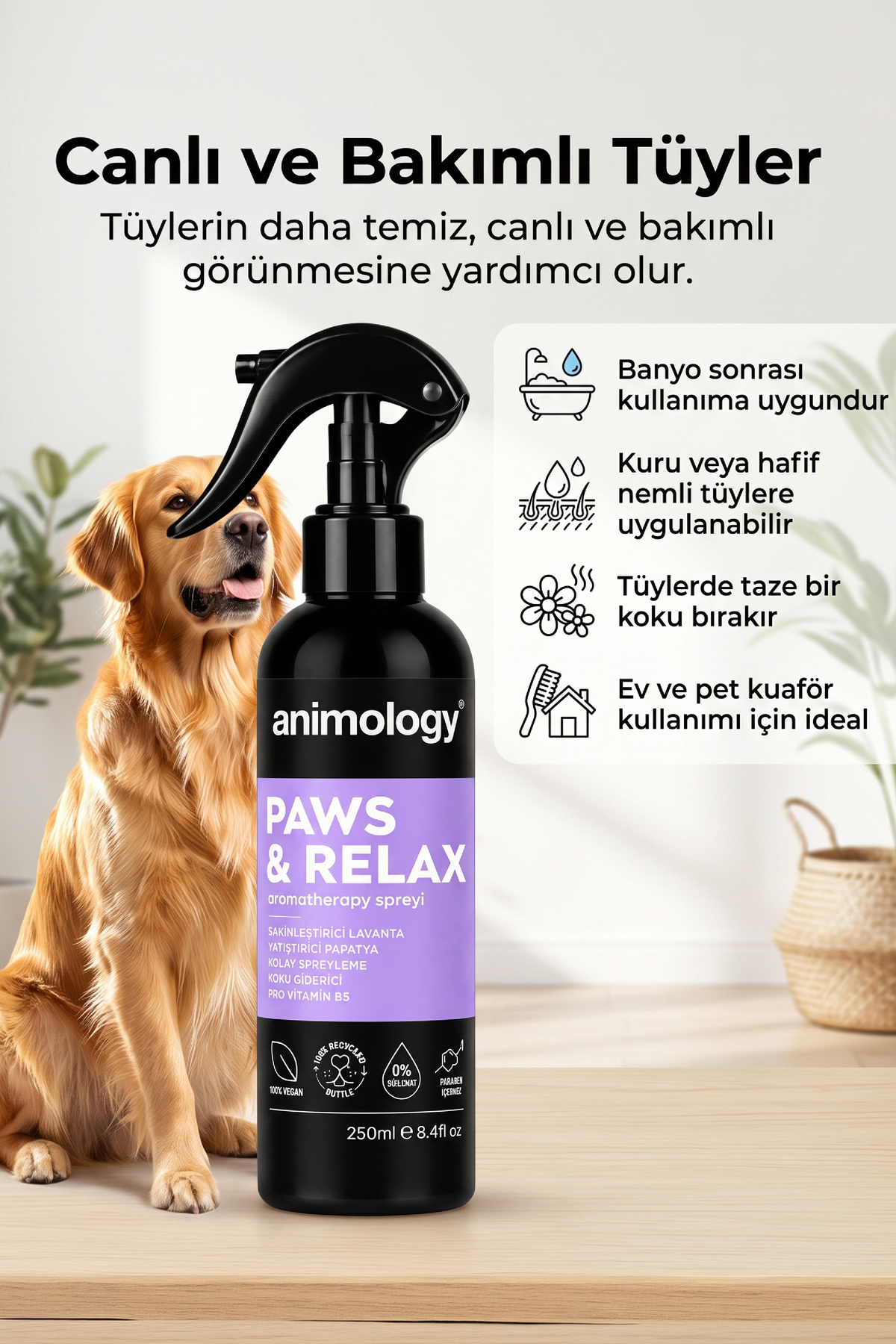 اسپری مراقبت از موی سگ انیمولوژی Animology Paws Relax با رایحه اسطوخودوس، ۲۵۰ میلی‌لیتر