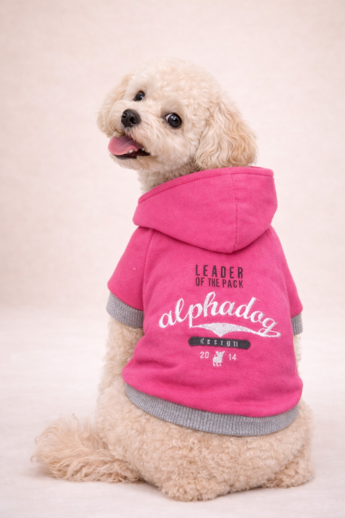 سویشرت سگ صورتی Leader آلفاداگ دیزاین Alphadog Design
