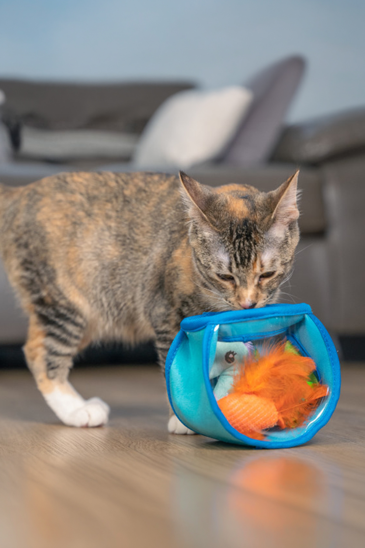 مجموعه اسباب‌بازی گربه با کت‌نیپ Catstages Hide & Seek Fish Bowl اوت‌وارد هاوند Outward Hound چندرنگ