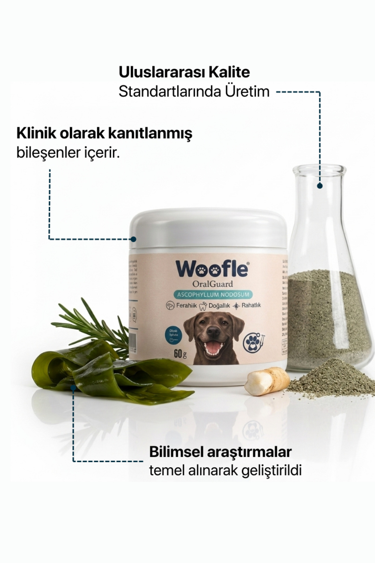 پودر مراقبت دهان و دندان سگ ووفل Woofle OralGuard، ۶۰ گرم، با طعم مرغ
