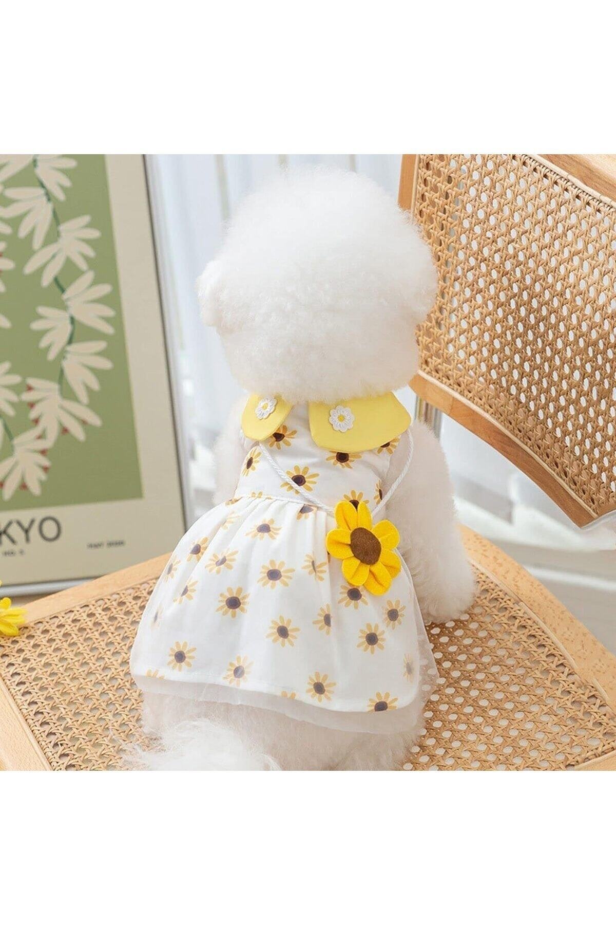 پیراهن سگ طرح گل آفتابگردان دولچه پتس Dolce Pets، مدل DPE006، زرد