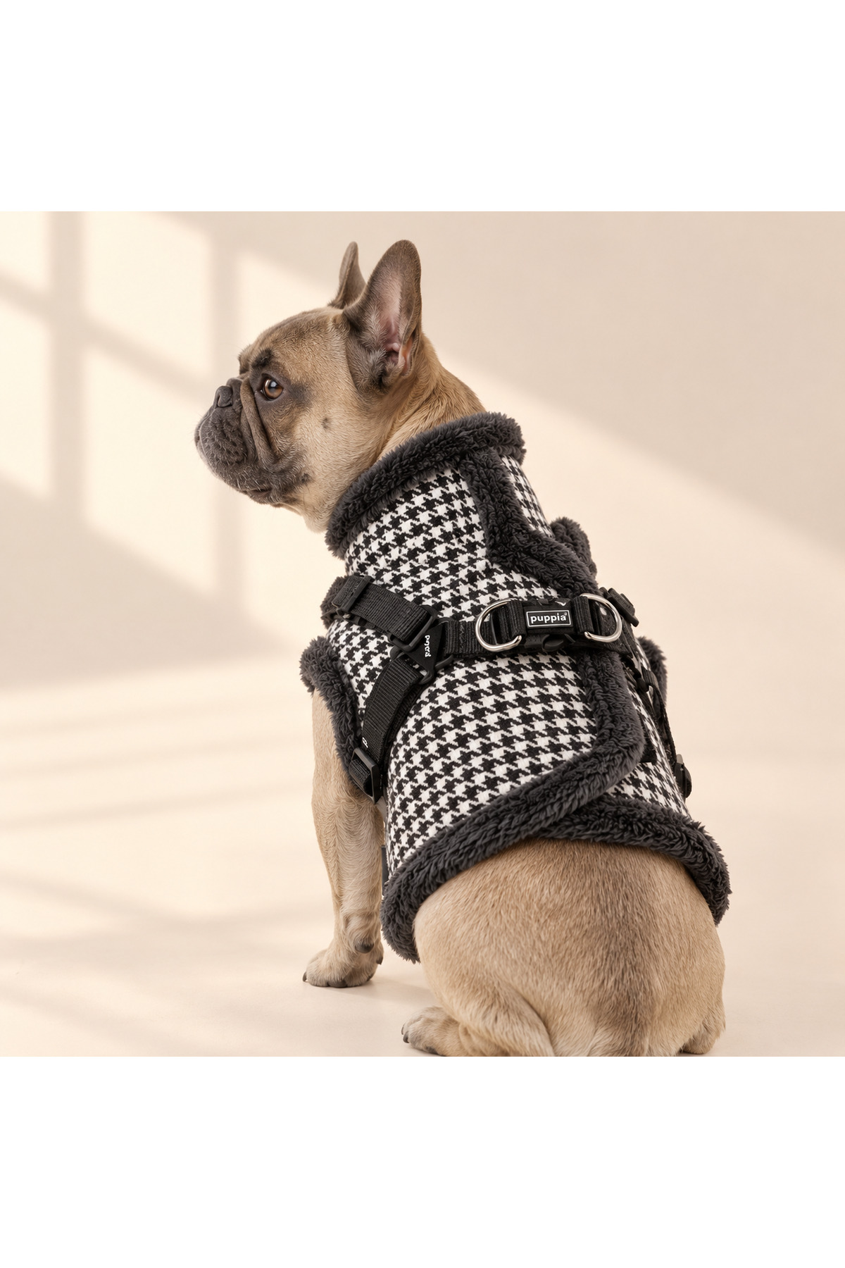 کاپشن تویید سگ پوپیا Puppia