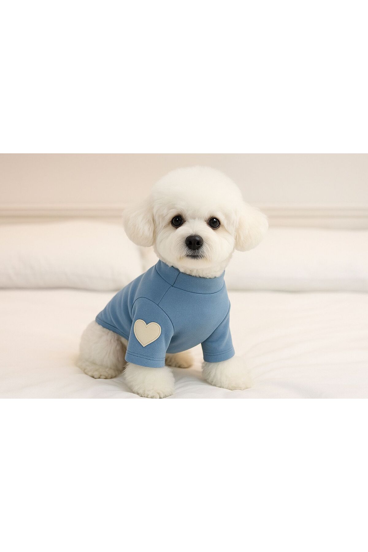 پلیور قلبی سگ و گربه دولچه پتس Dolce Pets مدل DKKP001، آبی