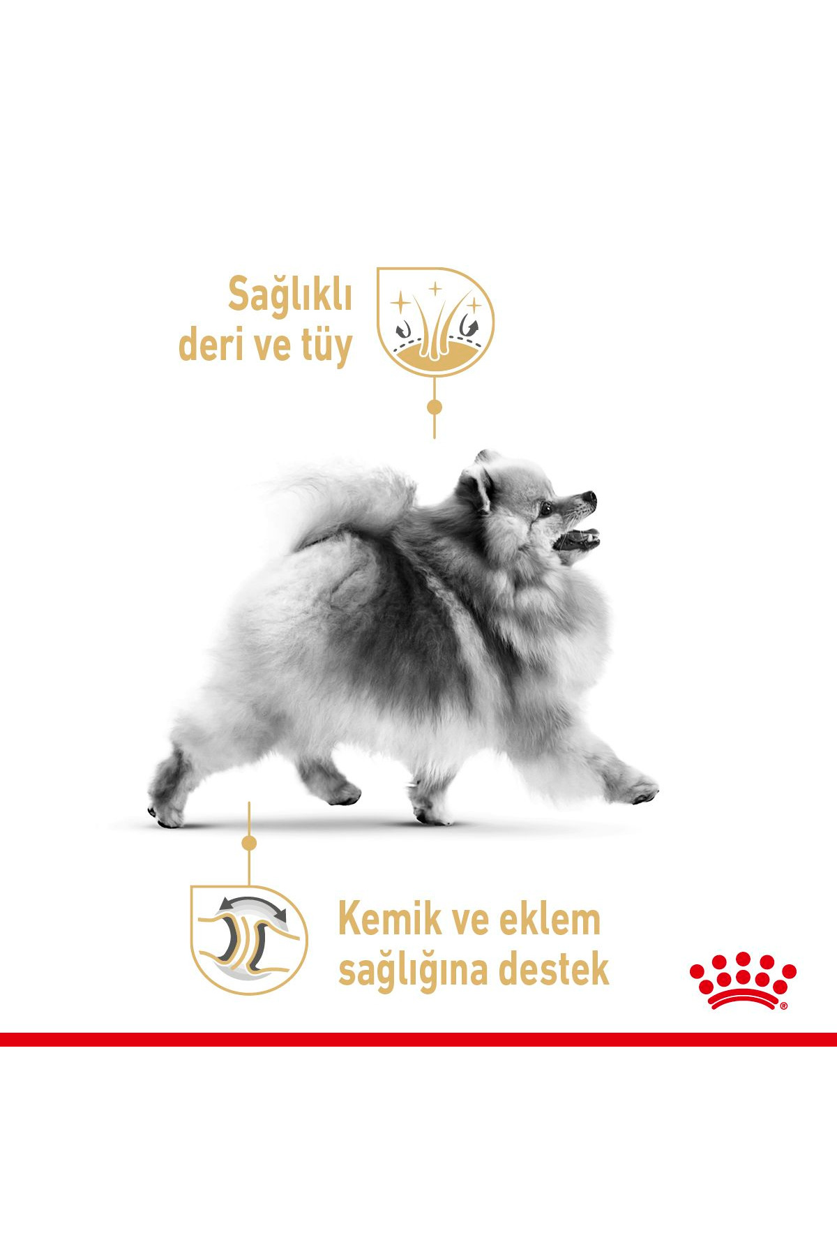 غذای خشک سگ پامرانیان رویال کنین Royal Canin، ۳ کیلوگرم