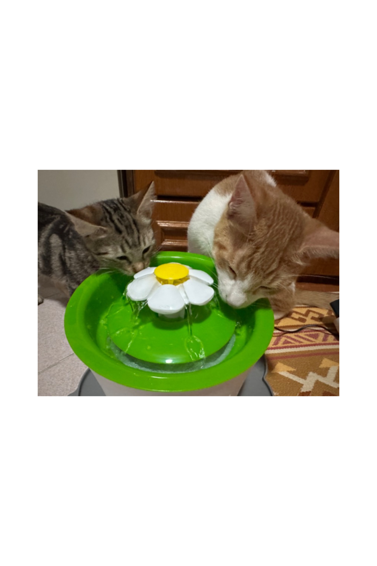 آبخوری فواره‌ای گل‌دار کتیت Catit 2.0 Flower Fountain