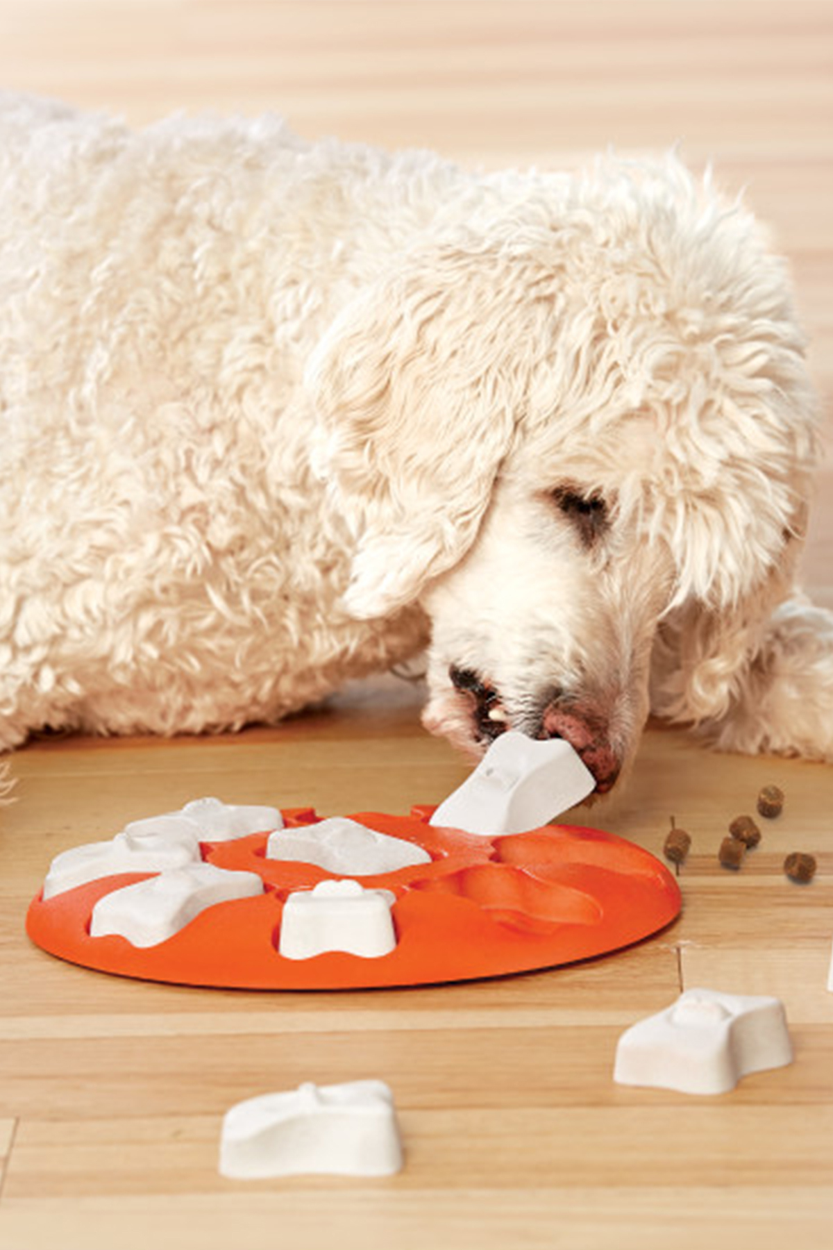 اسباب‌بازی آموزشی سگ Nina Dog Smart از اوت‌وارد هاوند Outward Hound چندرنگ