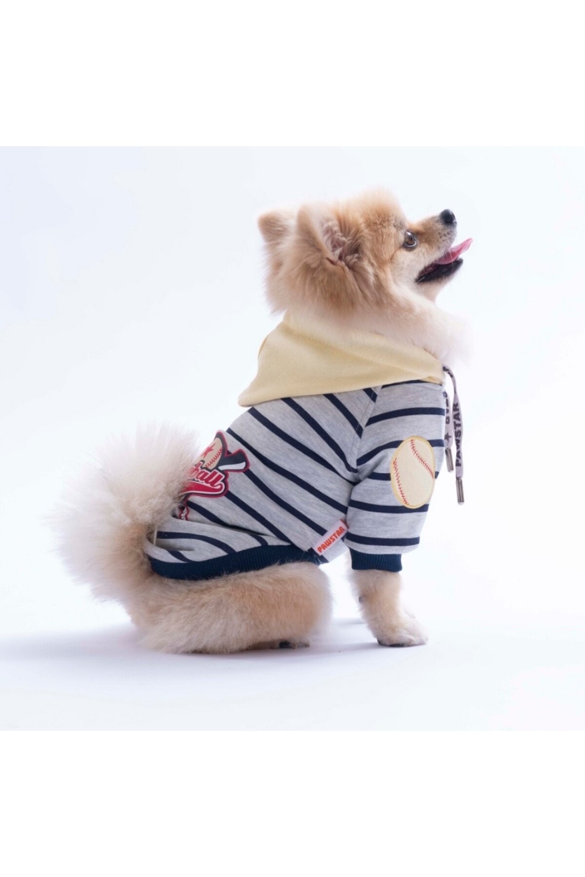 هودی سگ پاوستار Pawstar مدل Seattle Pitch، زرد