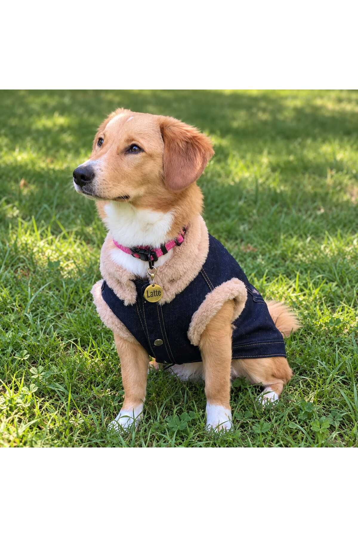 کت جین سگ Cosy Up لولو د اربن پاپ Lulu The Urban Pup با آستر پشم مصنوعی آبی