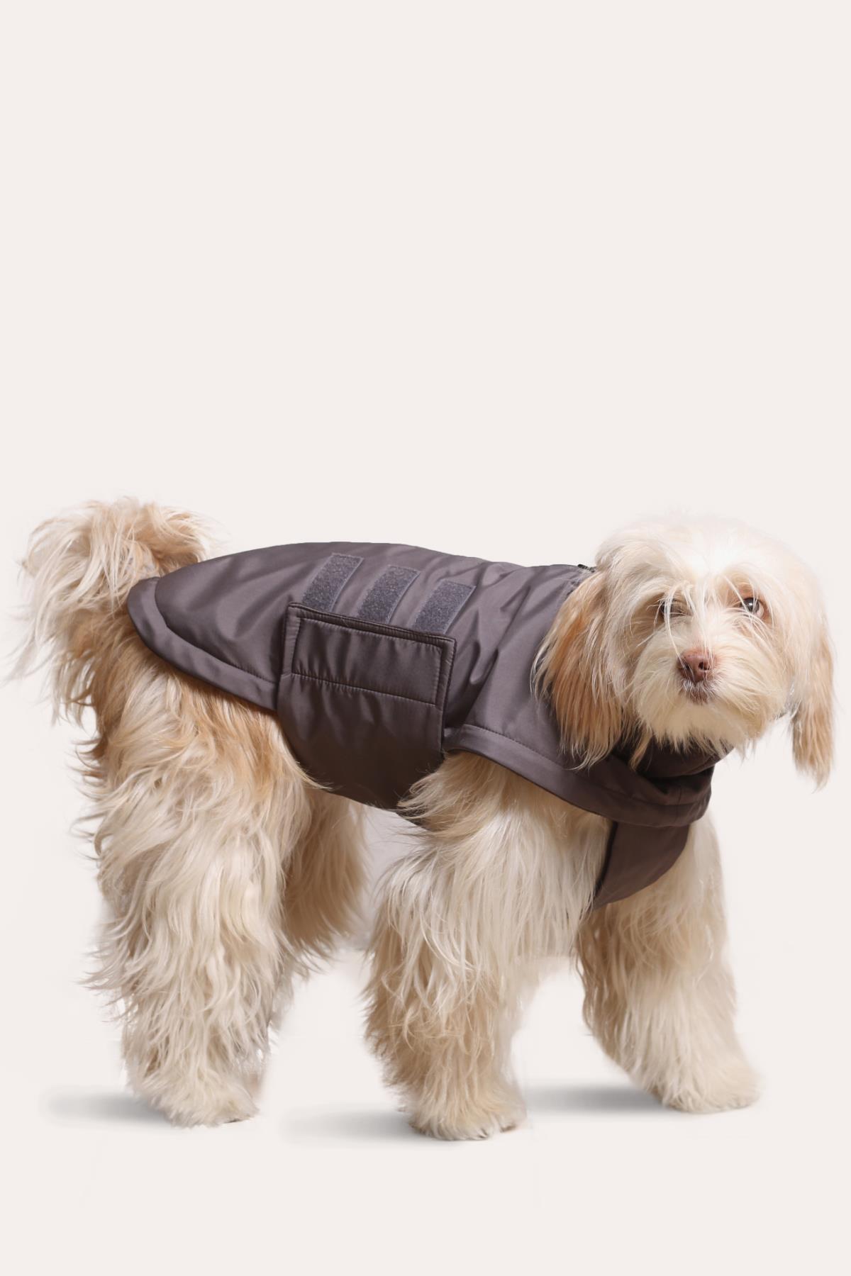 کت سگ آسکی‌اند‌اِرد Asky&Erd Extreme Wheater Coat I