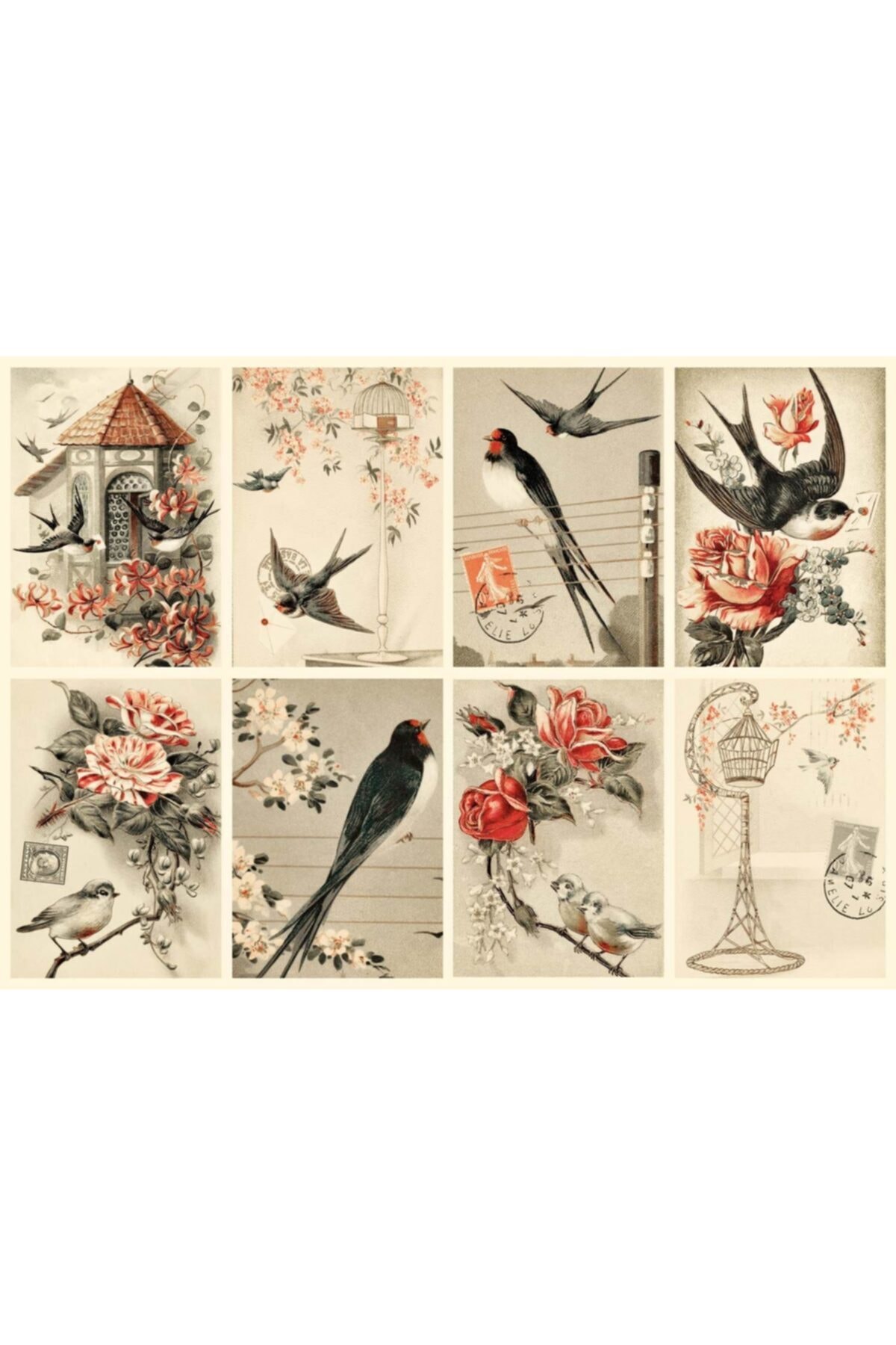 پازل NOVA 1000 PIECE BIRDS AND FLOWERS COLLAGE PUZZLE JODIELEE از ترکیه Nova Puzzle