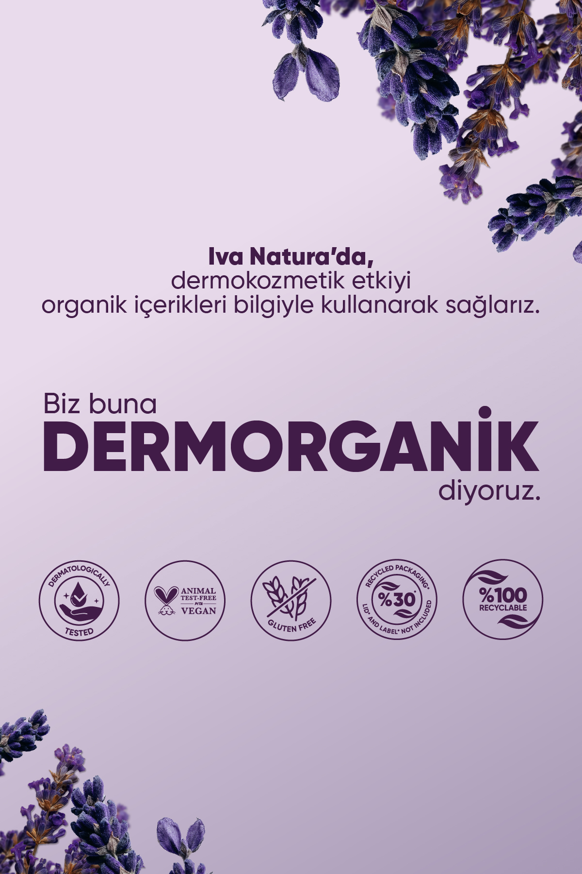 ژل دوش ارگانیک با عصاره اسطوخودوس مناسب برای پوست حساس 350 میلی لیتر Iva Natura