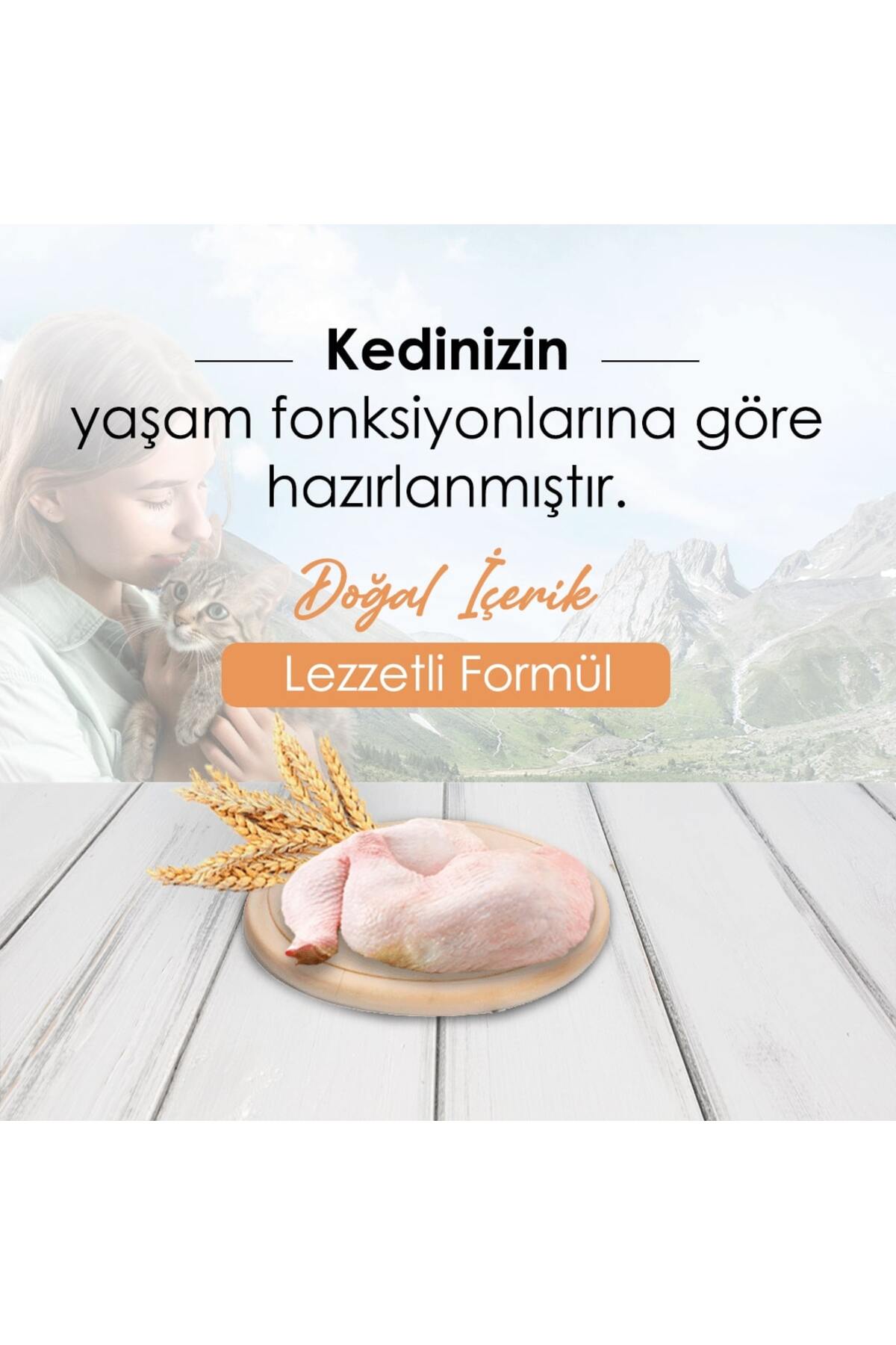 غذای خشک گربه بالغ با طعم مرغ ۱۰ کیلوگرمی بانی Bonnie