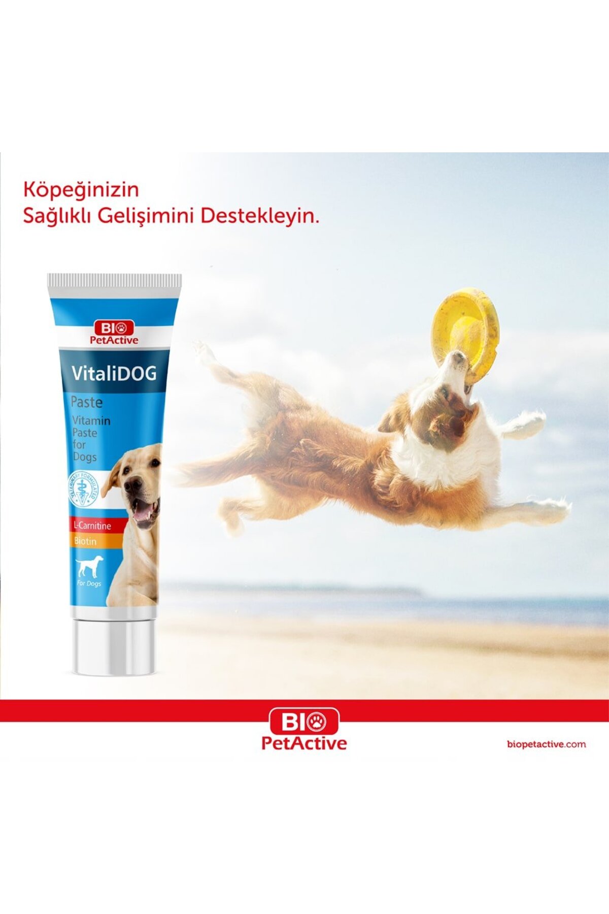 خمیر ویتامینی سگ بیو پت‌اکتیو Bio PetActive Vitalidog مدل BPA-PST-502