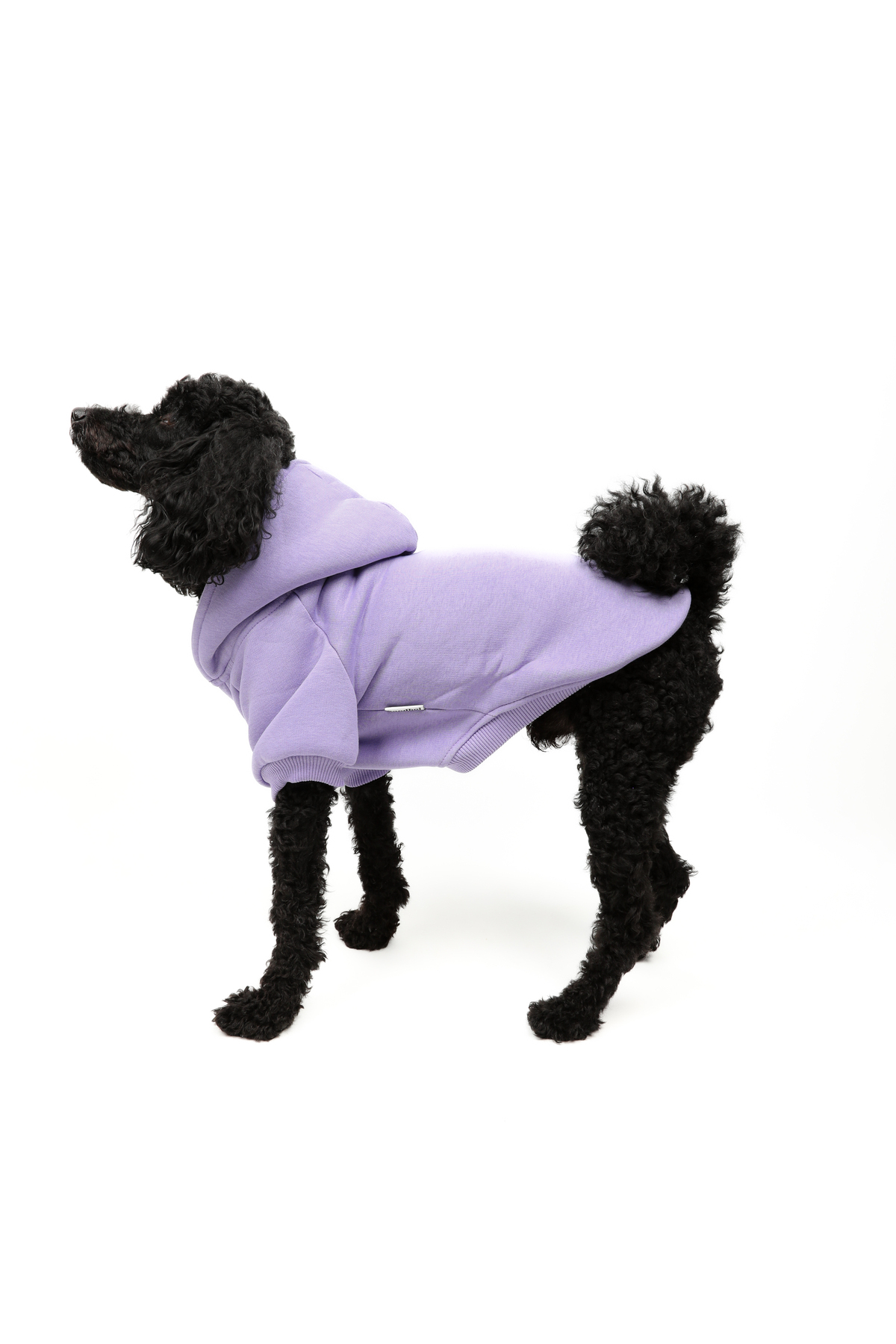 بلوز کلاه‌دار سگ گودبویز GOODBOIS مدل GBH1001، پنبه‌ای و یاسی