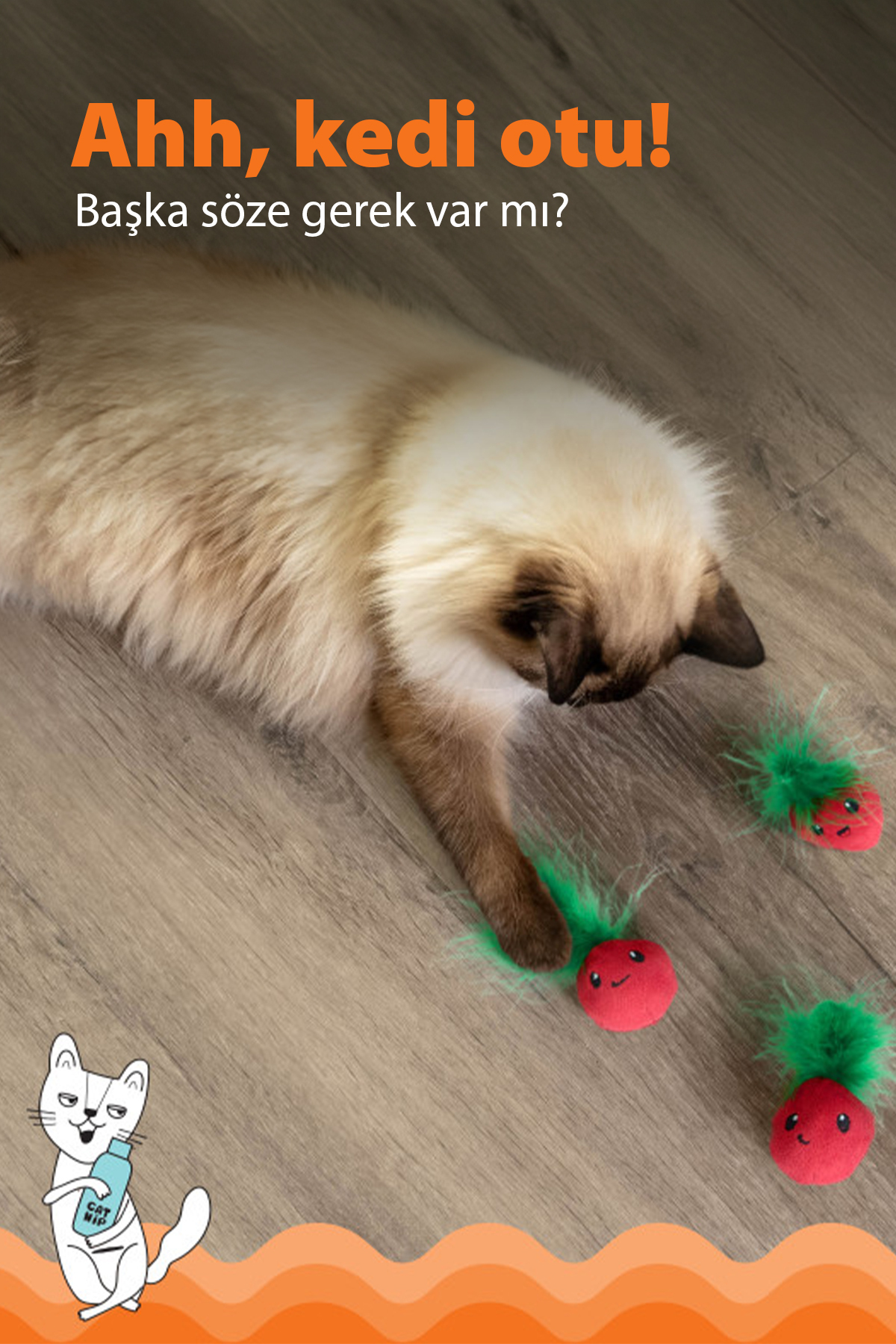 اسباب‌بازی گربه کت‌نیپ‌دار طرح توت‌فرنگی، ۳ عددی Catstages Strawbabies، مدل 350-70394M از اوت‌وارد هاوند Outward Hound چندرنگ