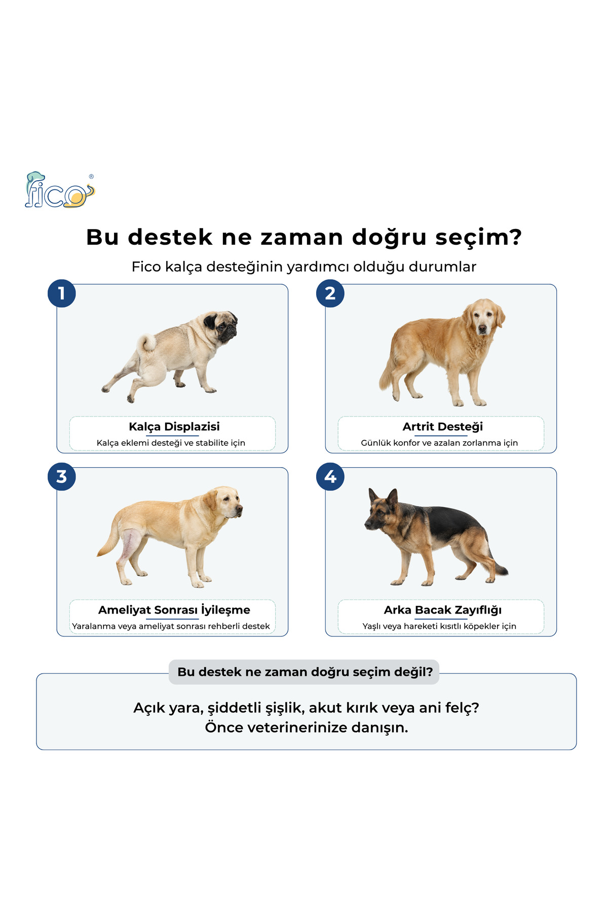 کمربند حمایتی لگن سگ ارتوپدی فیکو پتس Fico pets سرمه‌ای