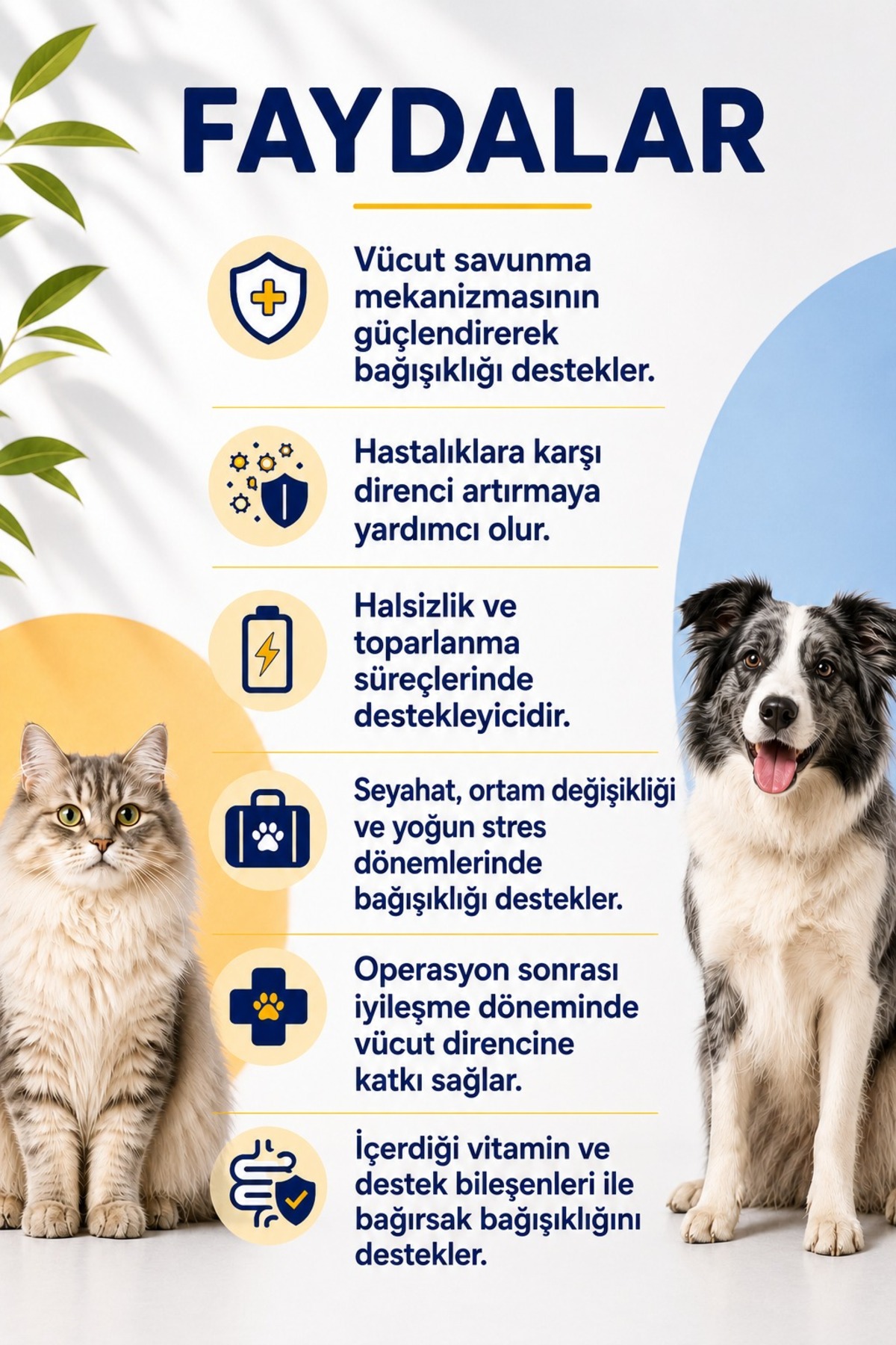 بسته سلامت گربه پابی پت کلاب Poby Pet Club، روغن ماهی، PlusB، قرص و خمیر، مدل SaglikPaketi-kediler