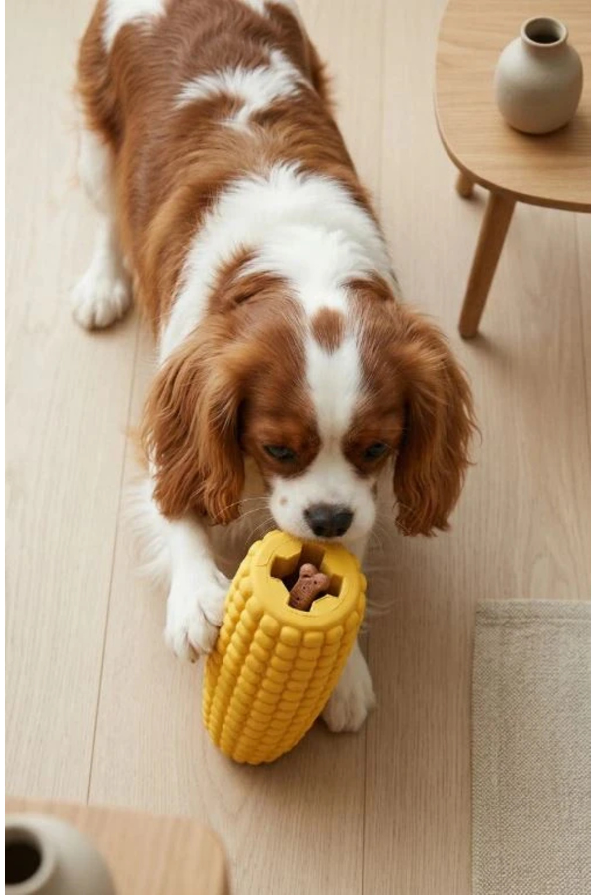 اسباب‌بازی پنهان‌کننده تشویقی سگ پتزا Petza Happy Corn، کد 1115079 رنگی