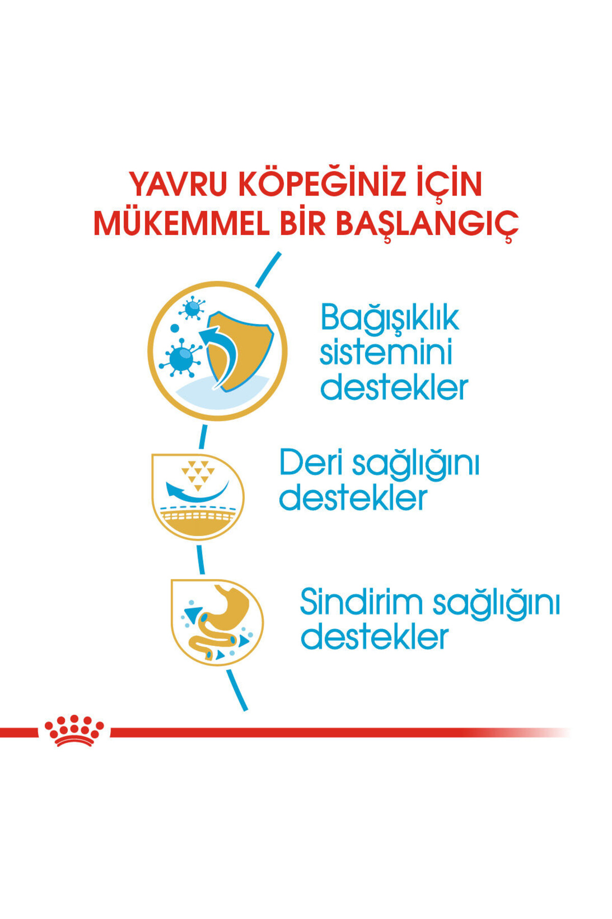 غذای خشک توله‌سگ پاگ رویال کنین Royal Canin، ۱٫۵ کیلوگرم 1.5 kg