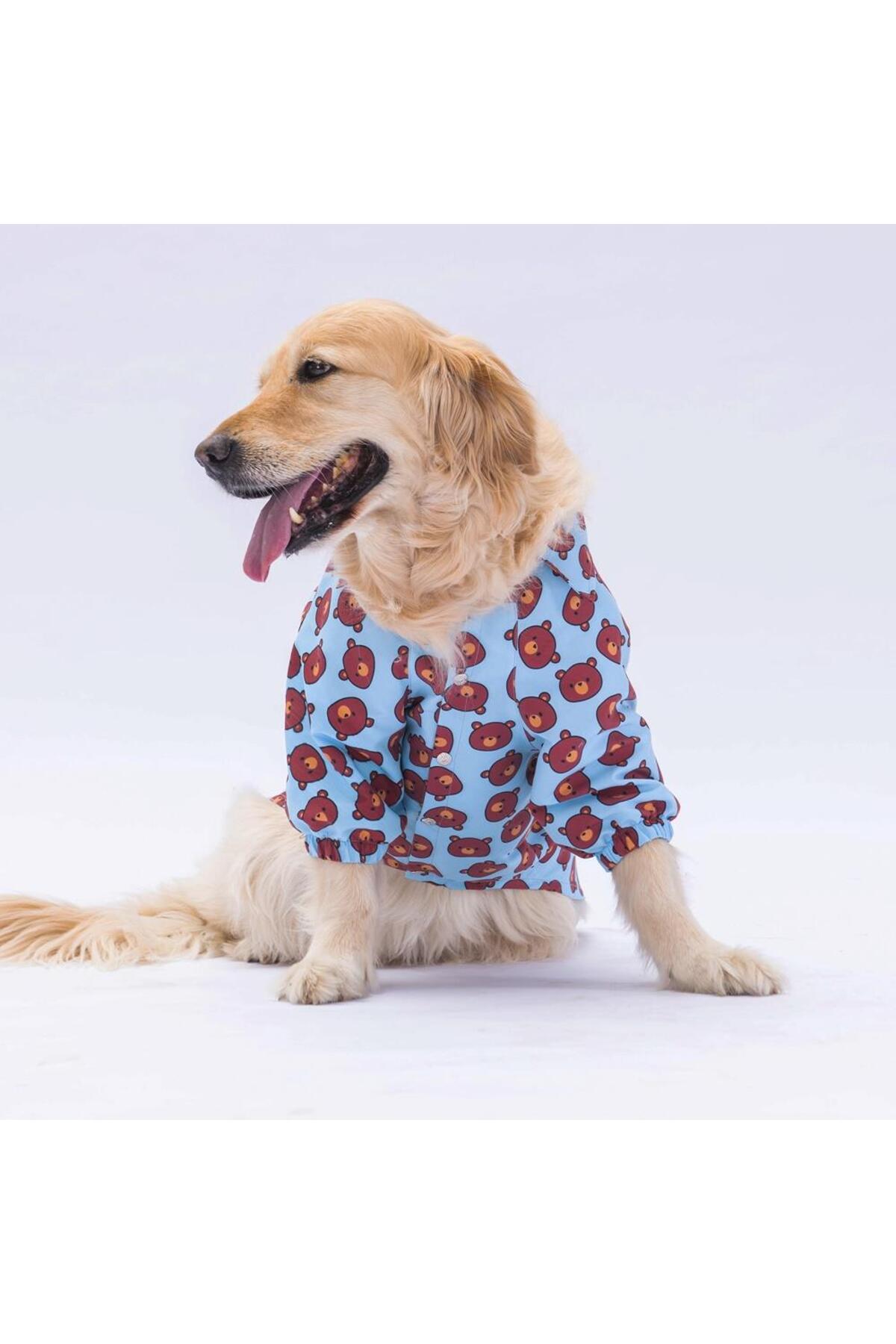 پیراهن سگ پاواستار Pawstar Bear، آبی، مناسب سگ‌های ۱۵ تا ۴۵ کیلوگرم