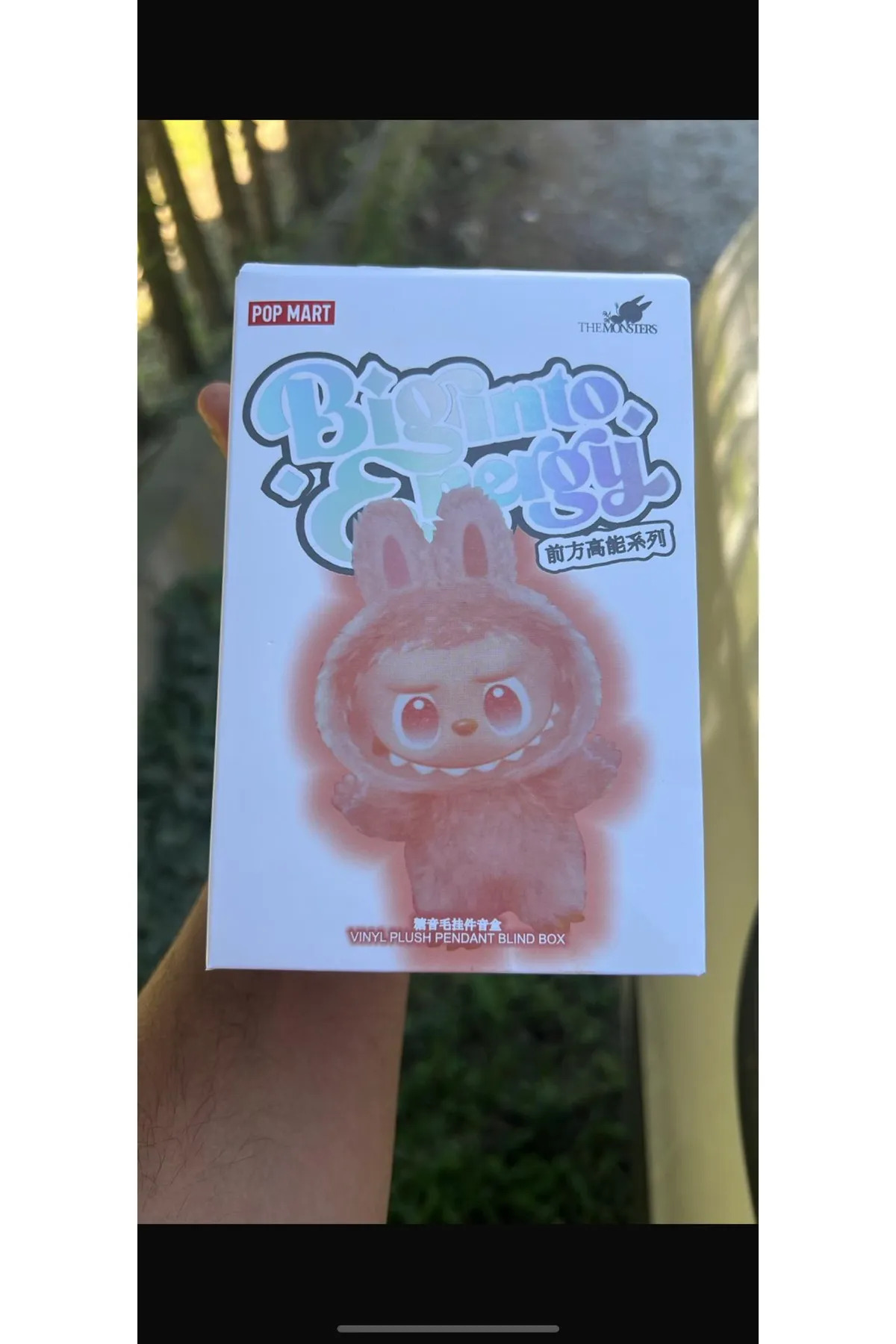 اسباب بازی های پشمی LABUBU SURPRISE TOY PLUSH DOLL PLASH جاکلیدی مخلوط رنگ NANOPRO Shoplandu