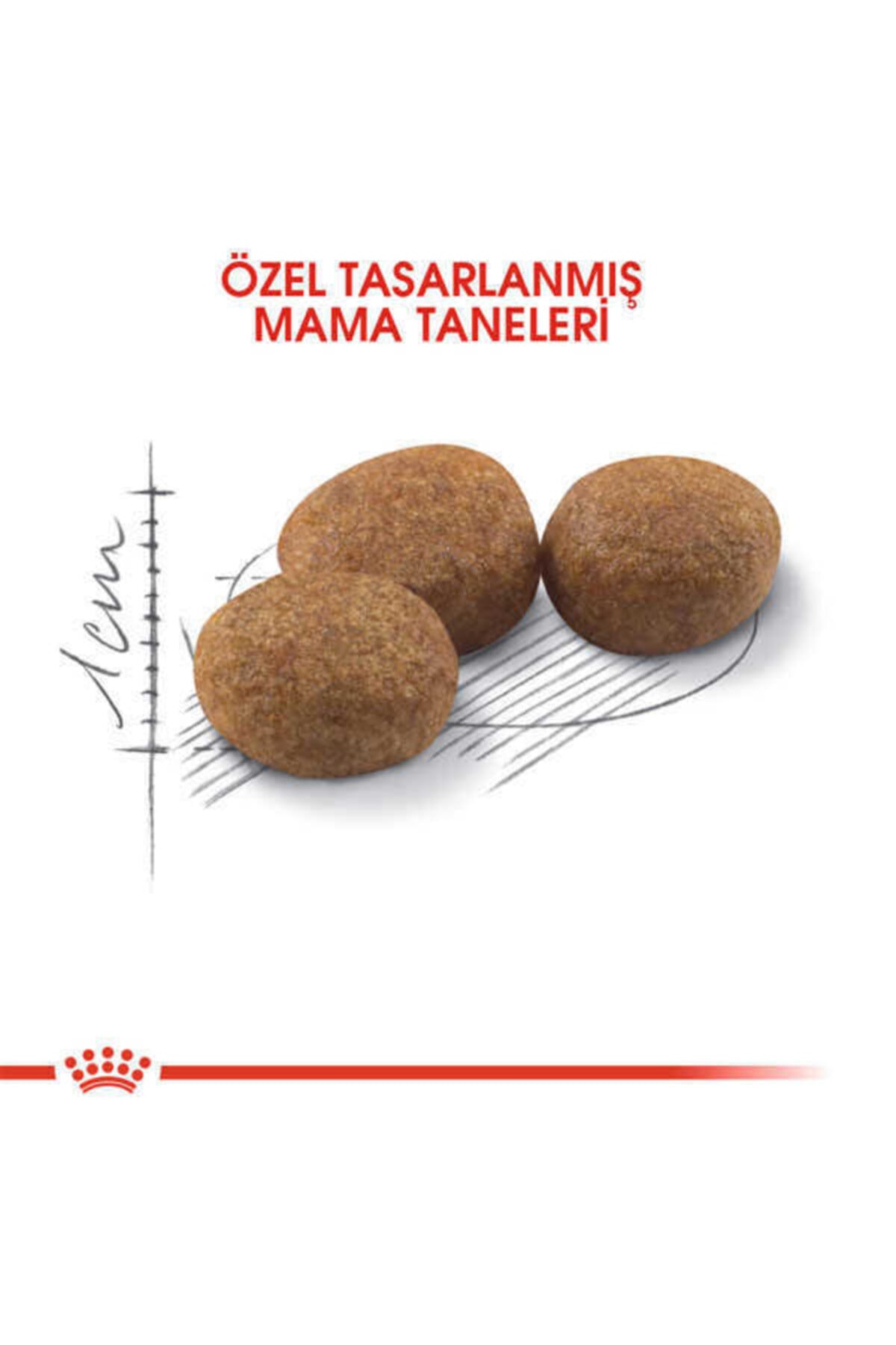 غذای خشک گربه رویال کنین Royal Canin Sterilised 37، ۲ کیلوگرم