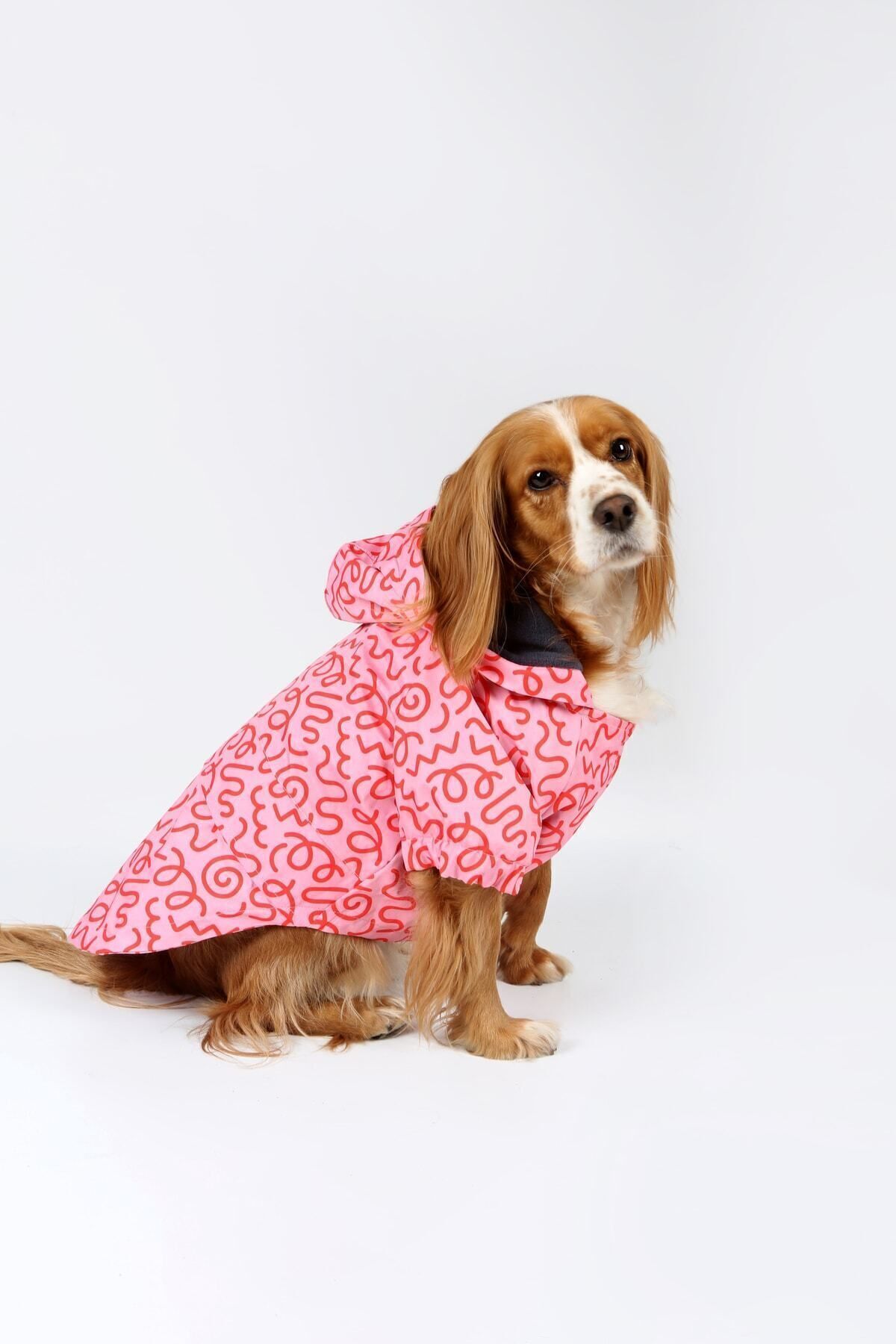 کاپشن پلار سگ Pink Confusion پت‌پرسون Petperson صورتی