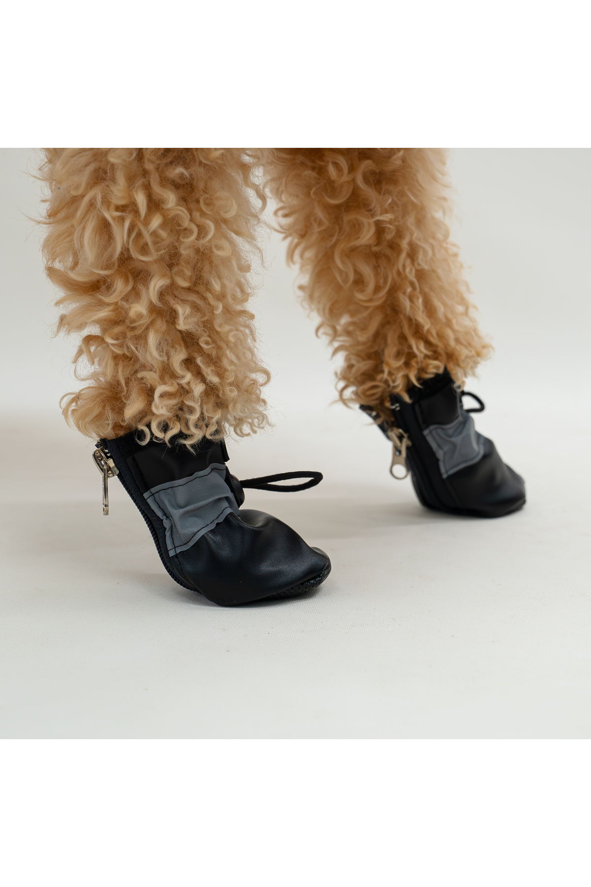 کفش سگ بادی استور Buddy Store مدل bsShoePack، زیپ‌دار با زیره نرم، ضدلغزش و ضدآب مشکی