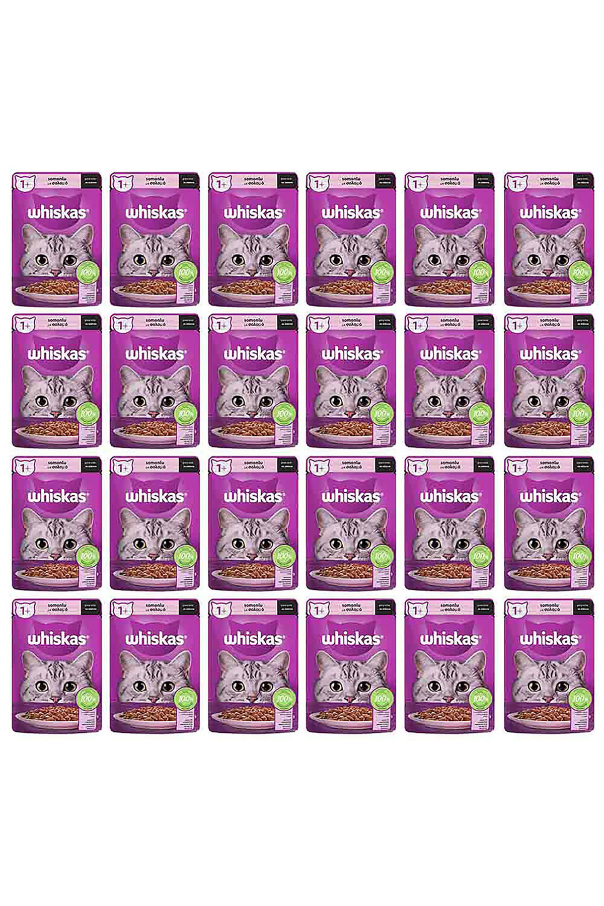 غذای مرطوب گربه ویسکاس Whiskas با طعم سالمون، ۲۴ پوچ ۸۵ گرمی