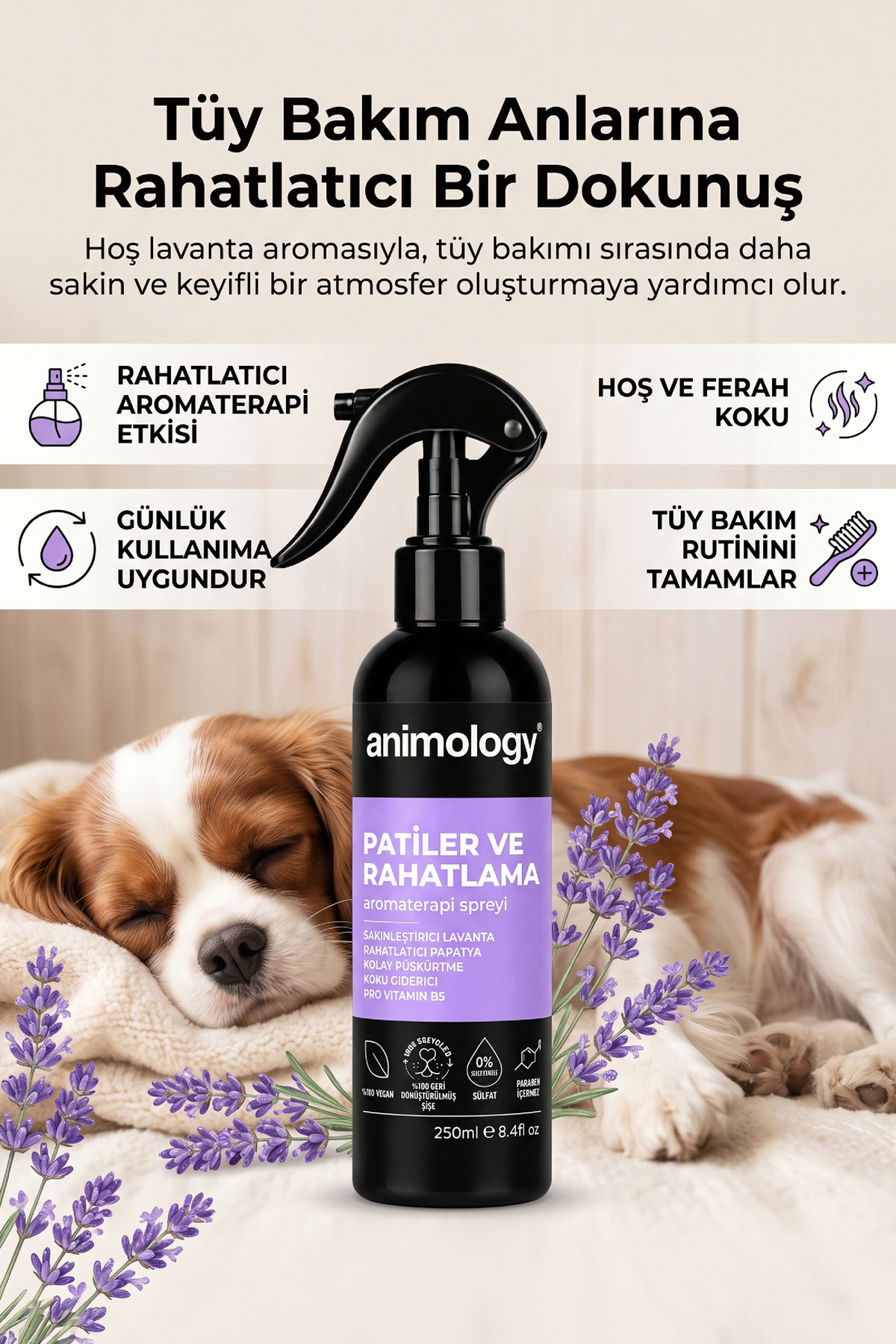 اسپری مراقبت از موی سگ انیمولوژی Animology Paws Relax با رایحه اسطوخودوس، ۲۵۰ میلی‌لیتر